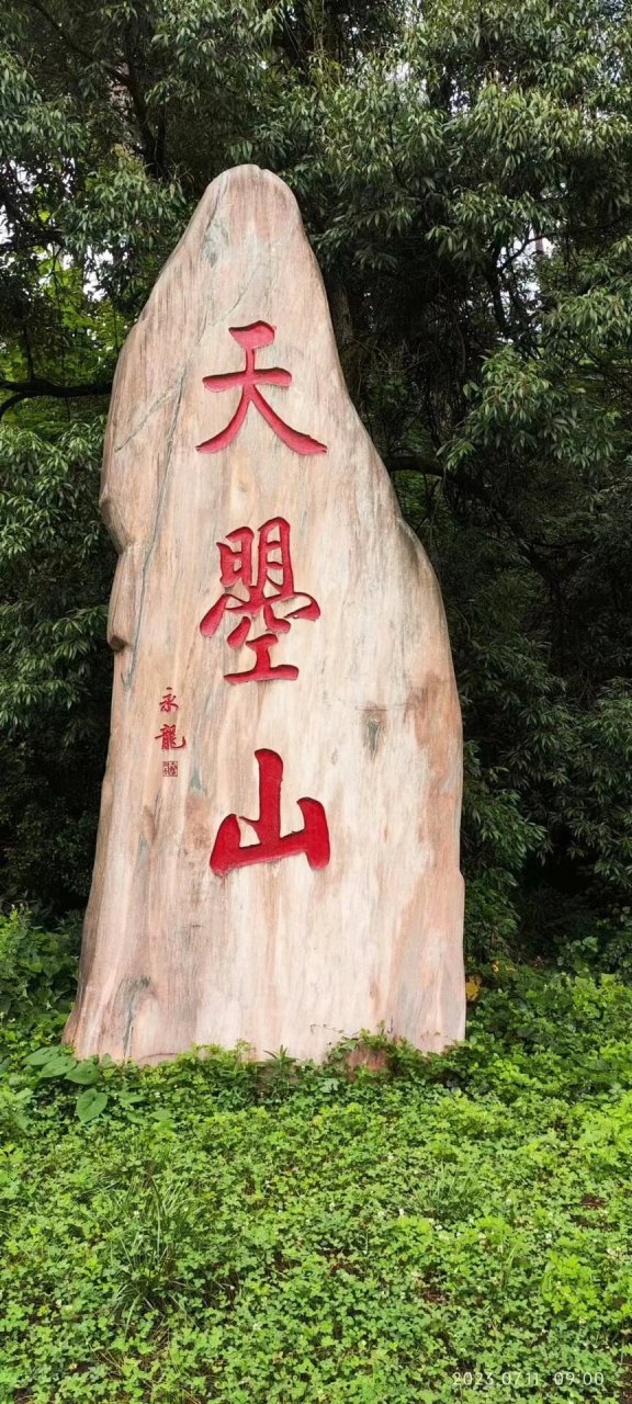 最近第三次来天曌山,真的觉得地方很好,森林公园的感觉,喜欢山水的人