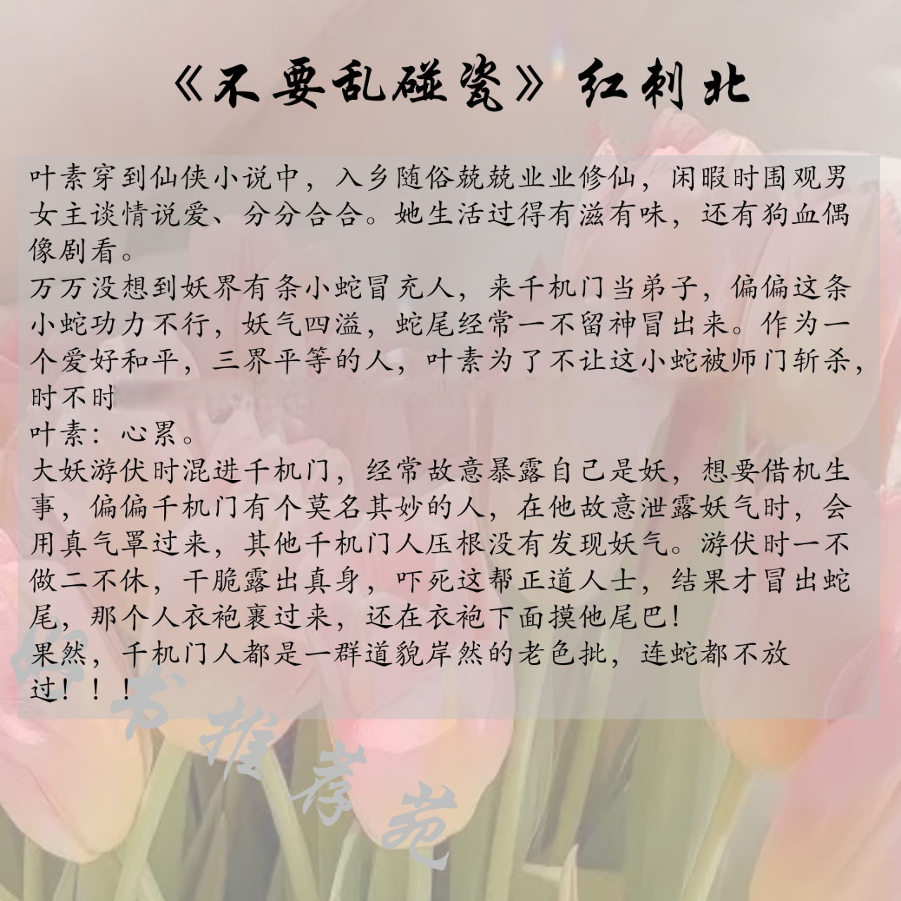 【书单#言情小说推荐《不要乱碰瓷》红刺北《女a生存手册》蛛于