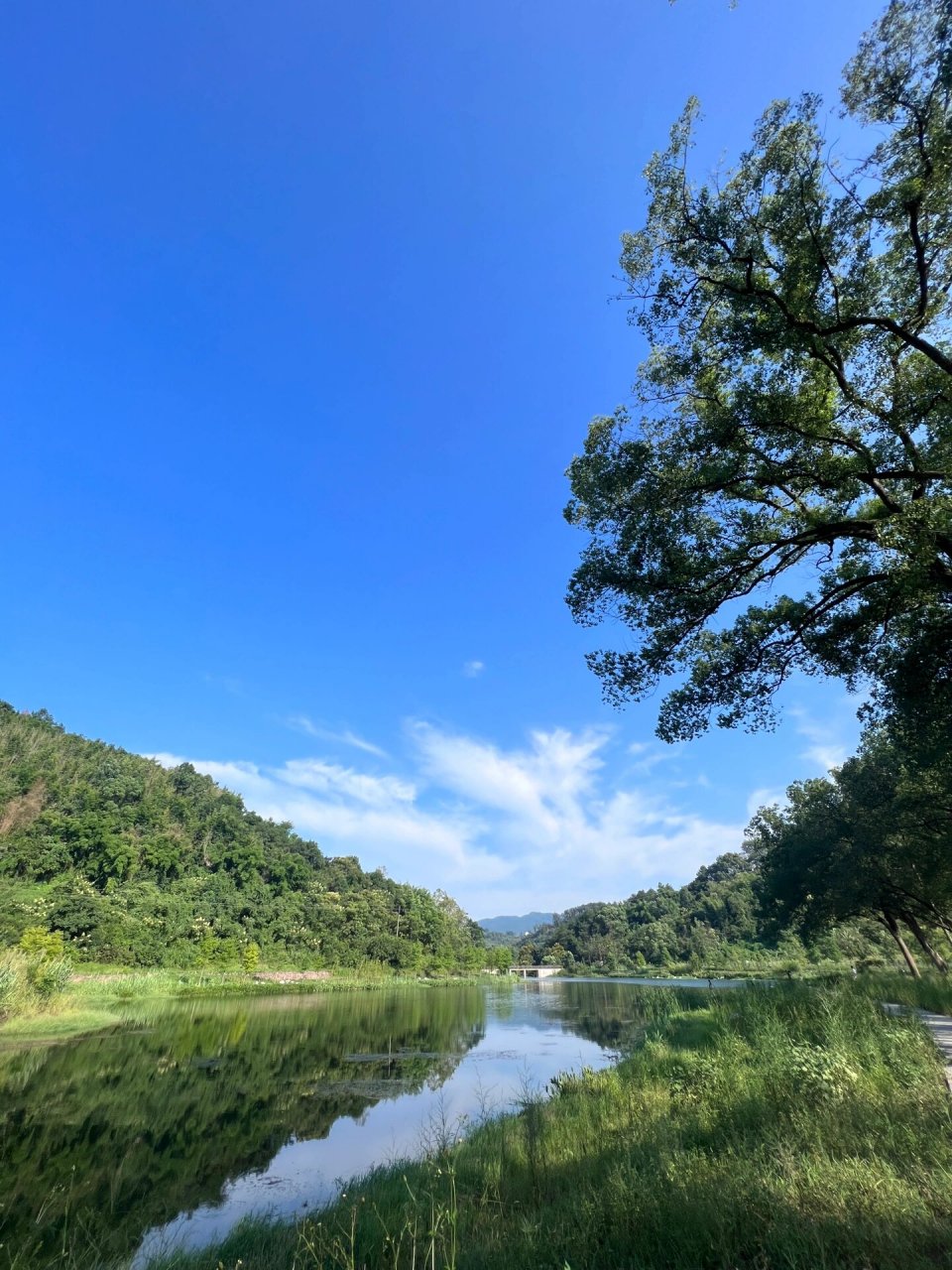 重庆柏林水库图片