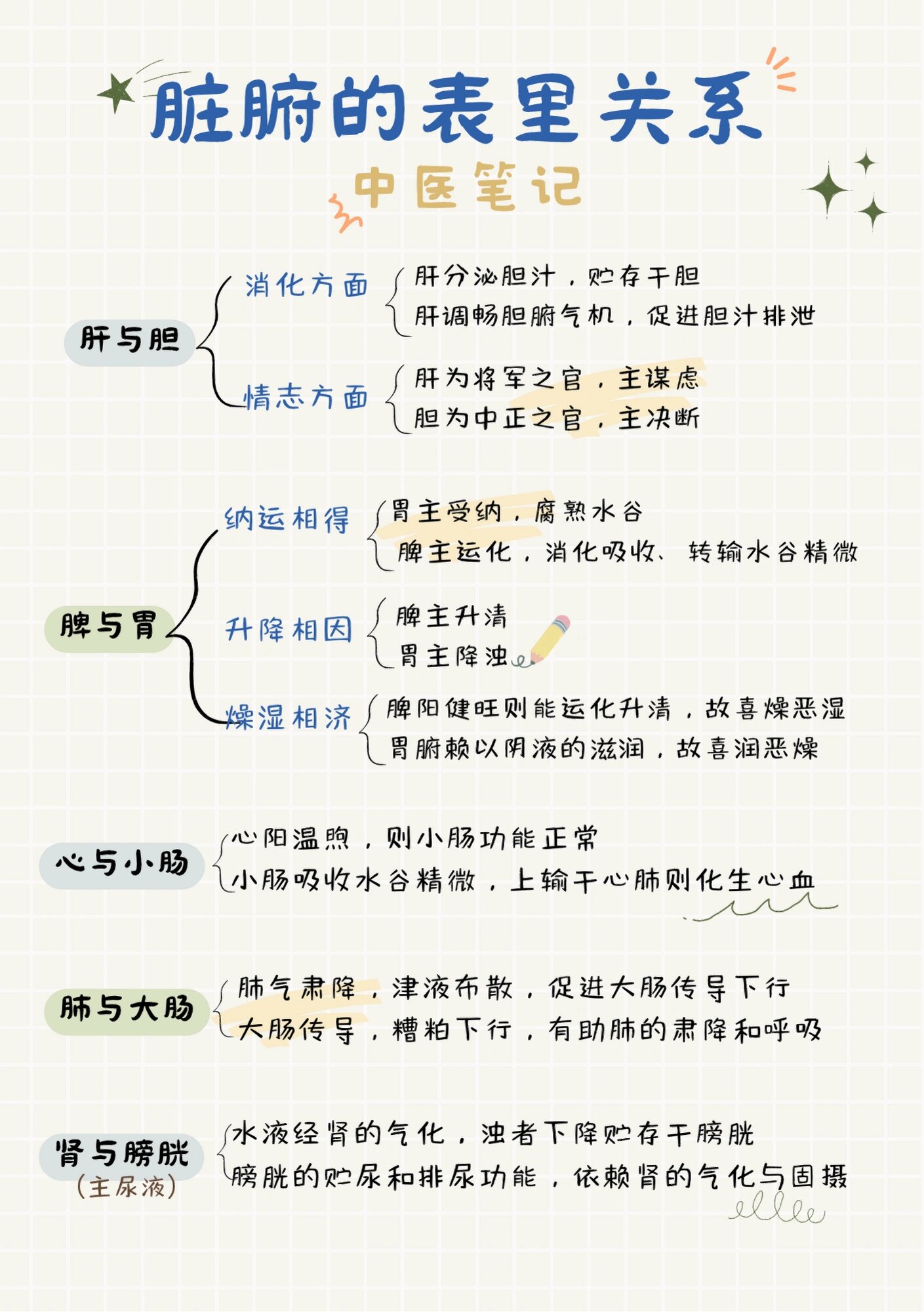 中医基础 | 脏腑的表里关系 一,肝与胆 消化方面:肝分泌胆汁,贮存于胆