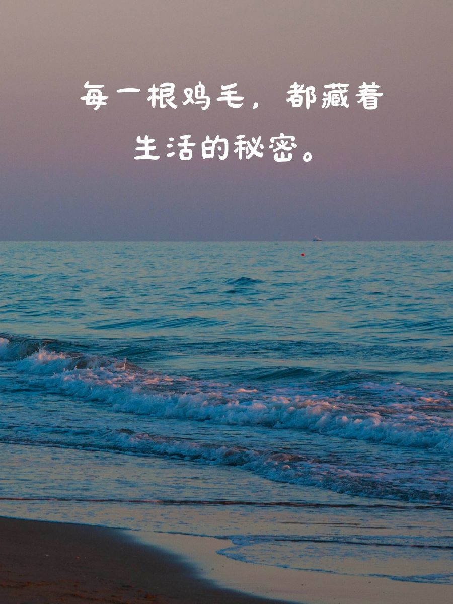 2,拾起鸡毛,一点点拼接,生活不就是这样? 3,鸡毛蒜皮,也有它的故事.