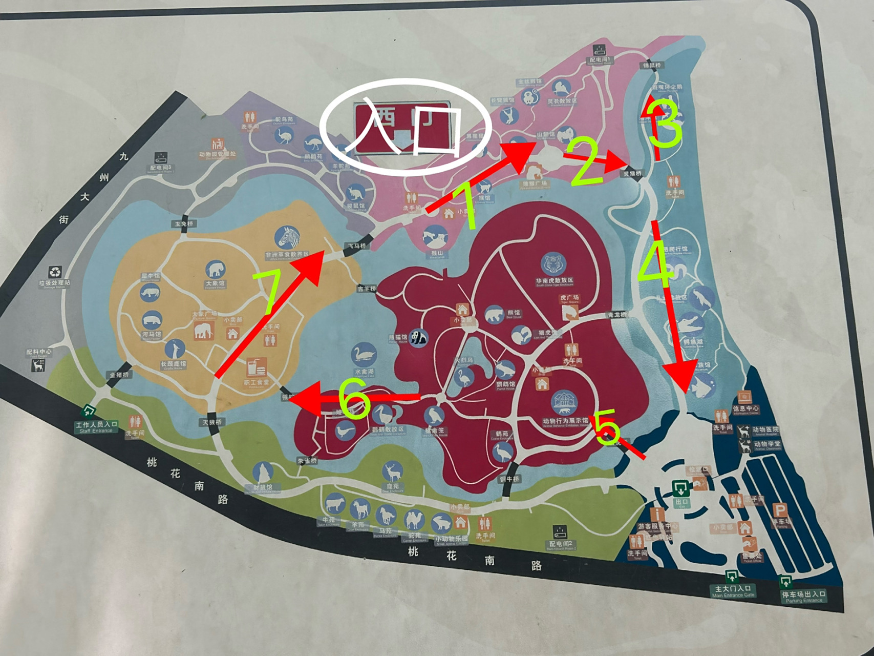 五一南昌动物园,最新游玩路线看这里!