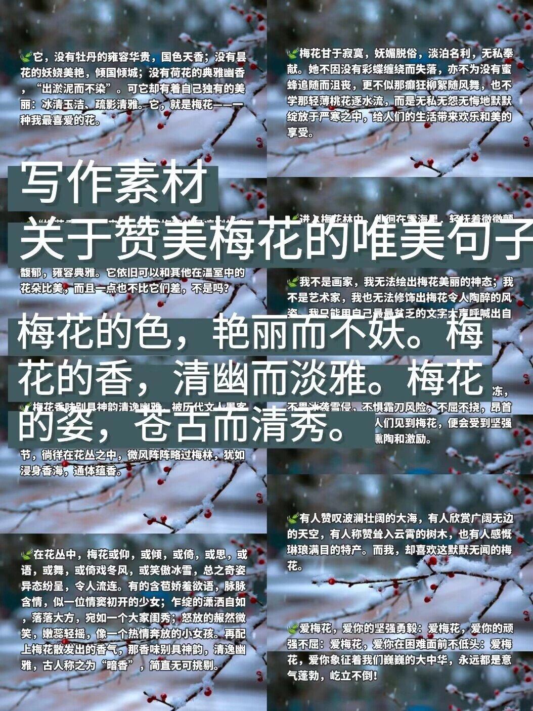 赞美梅花的句子图片