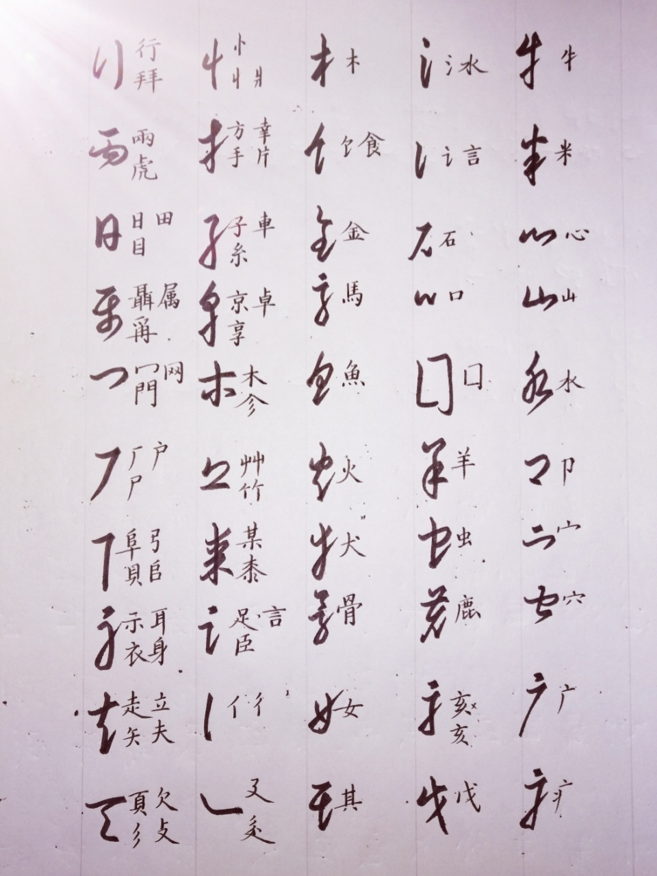草书基本笔画 及部分例字 钢笔练习