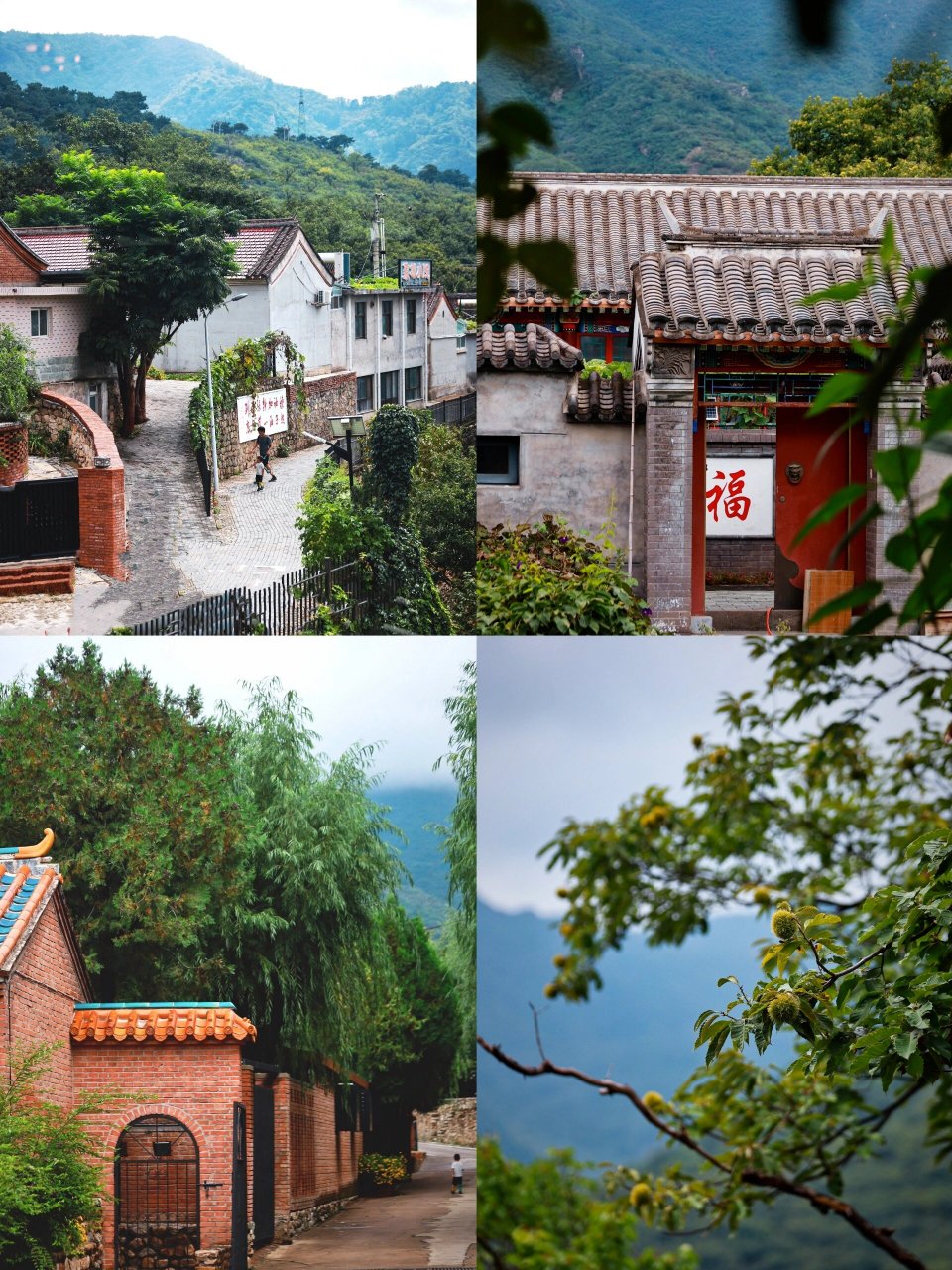 怀柔北沟村91徒步捡栗子77逛村落很惬意 向郊区出发!