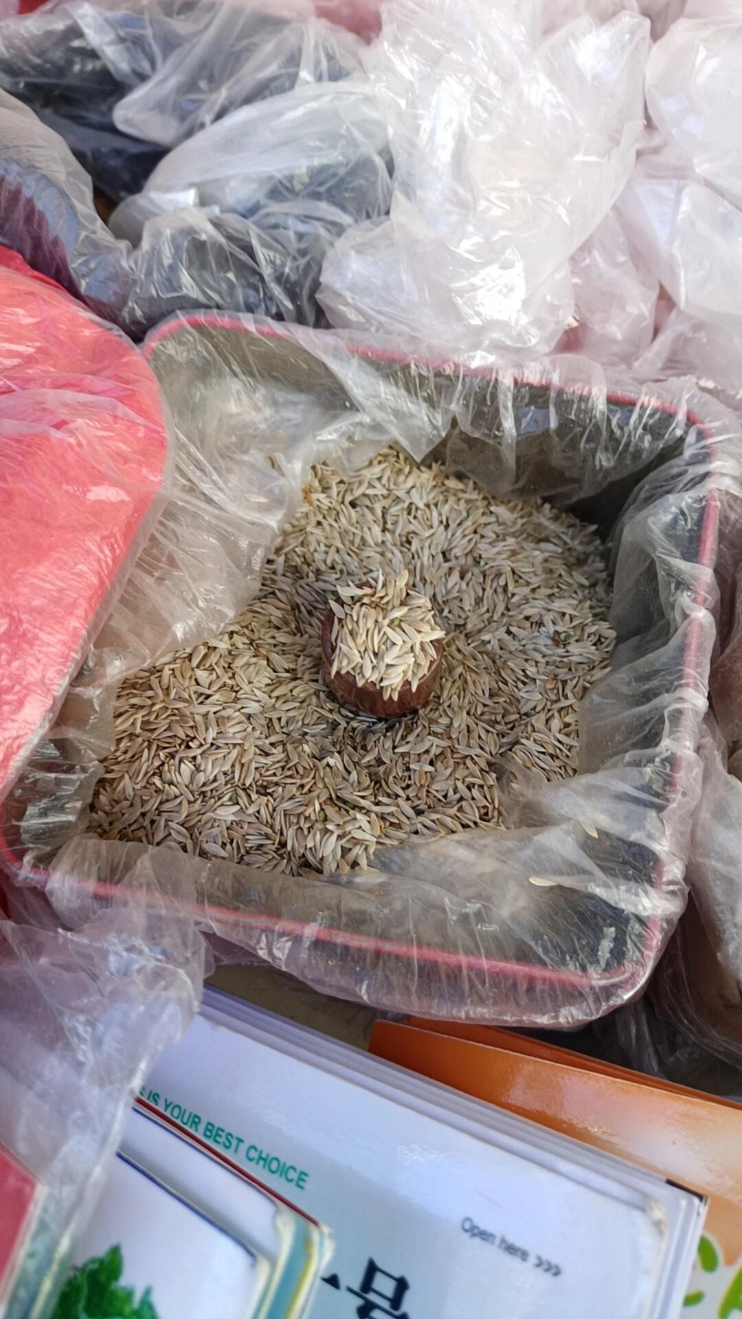 生菜籽原来长这样!