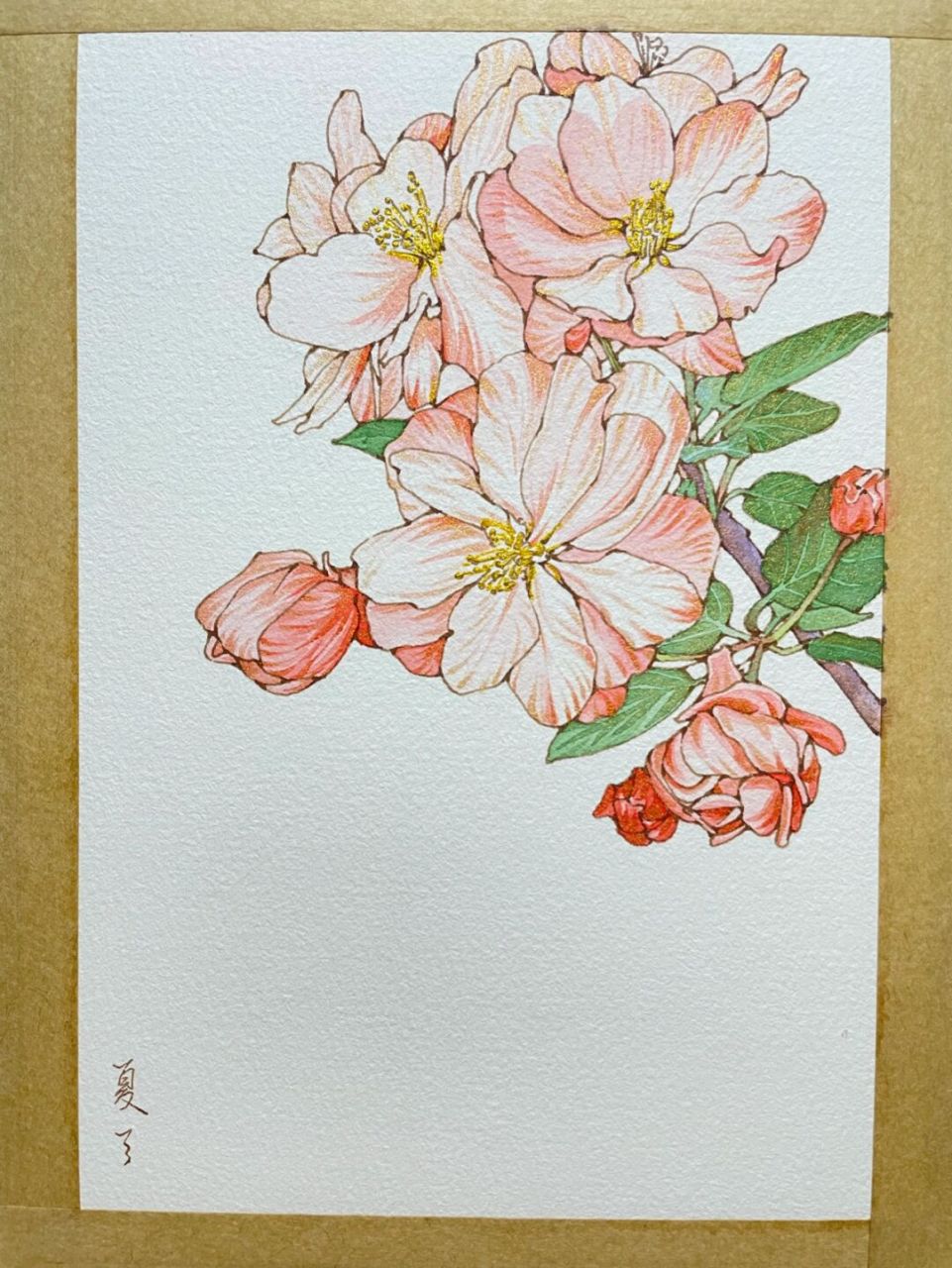 马利金色 纸 宝虹200克中粗 #画画# #水彩# #钢笔淡彩# #水彩花卉