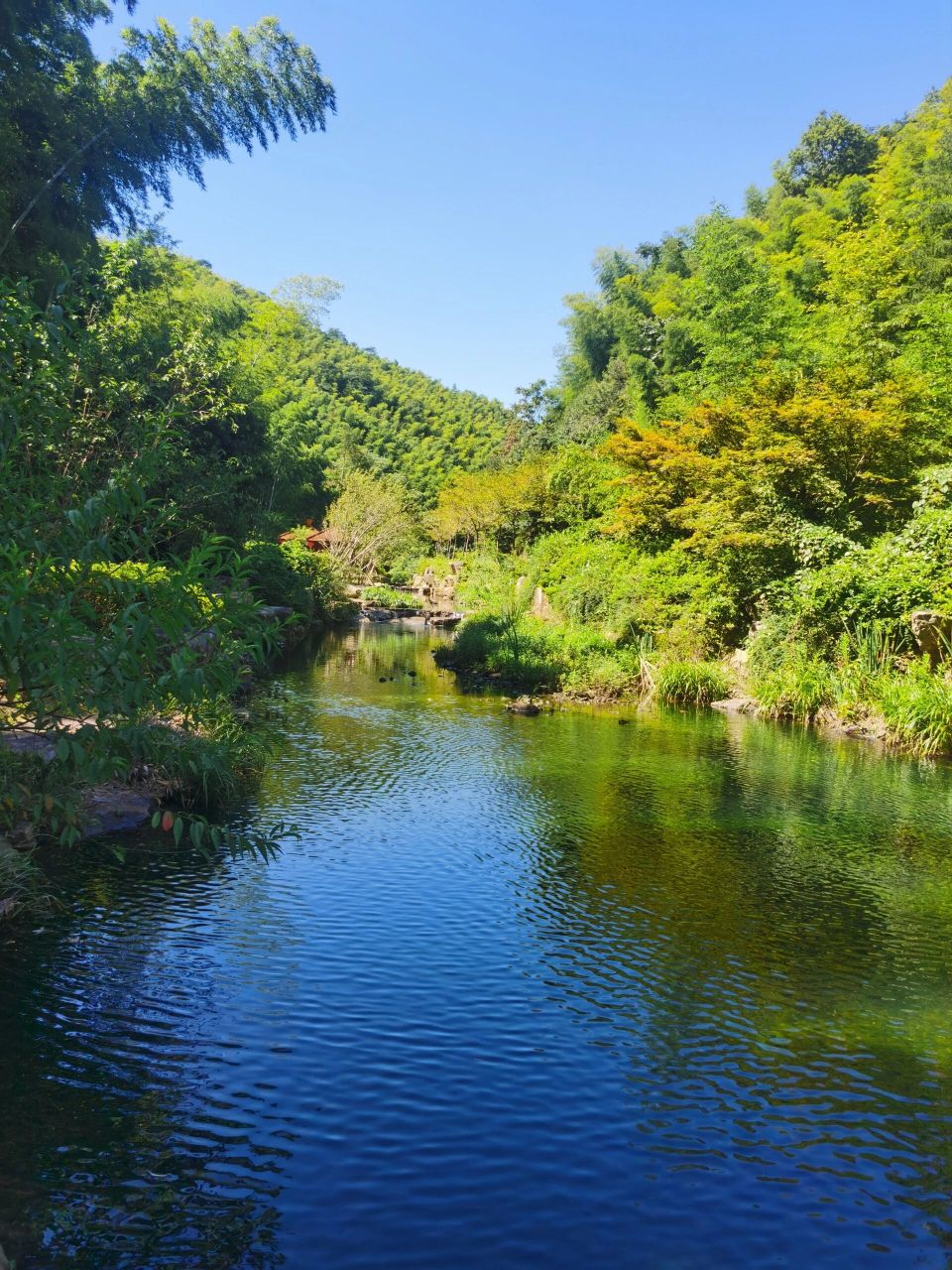 宜兴竹海风景区    门票:提前一天在美团买的门票70元/人(门口购买80
