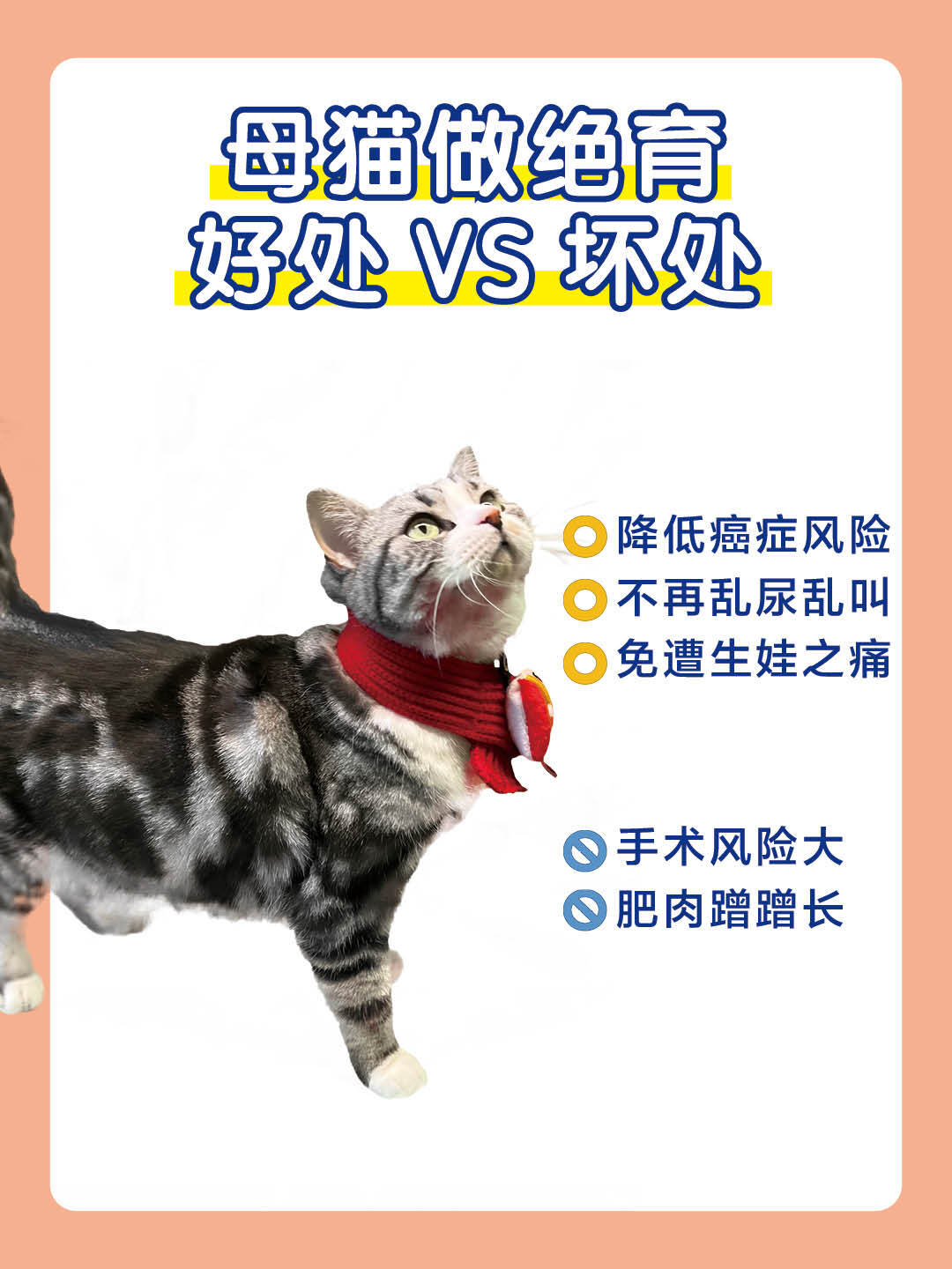 猫咪为什么要绝育