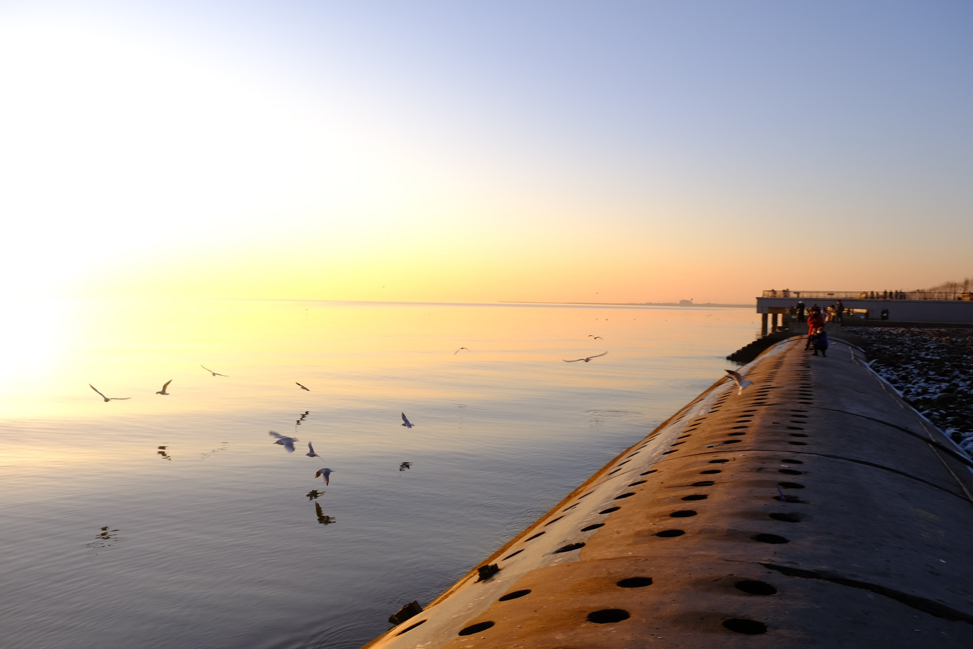 99天津滨海新区东疆亲海公园 北京自驾2小时即可到达 如果就是为了