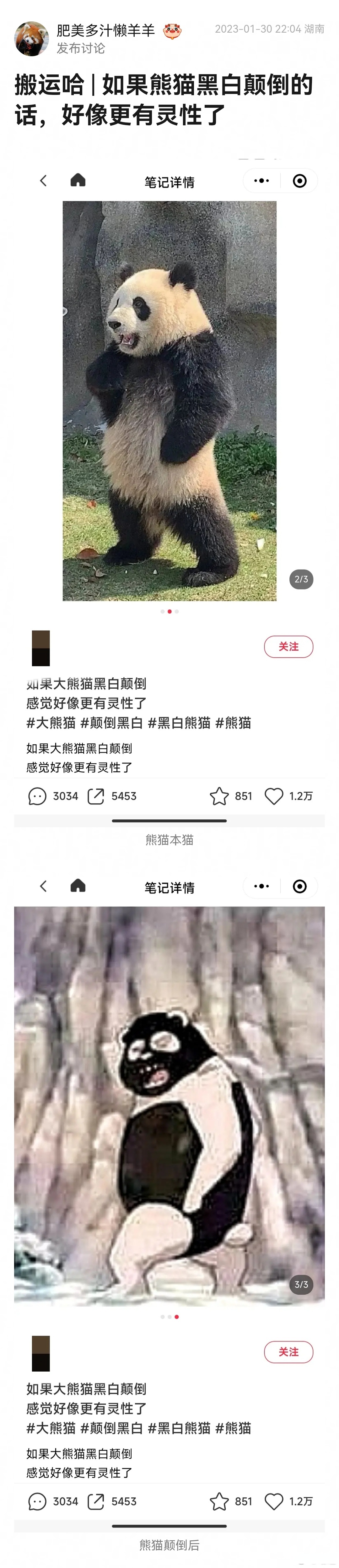 图片黑白颠倒怎么调整图片