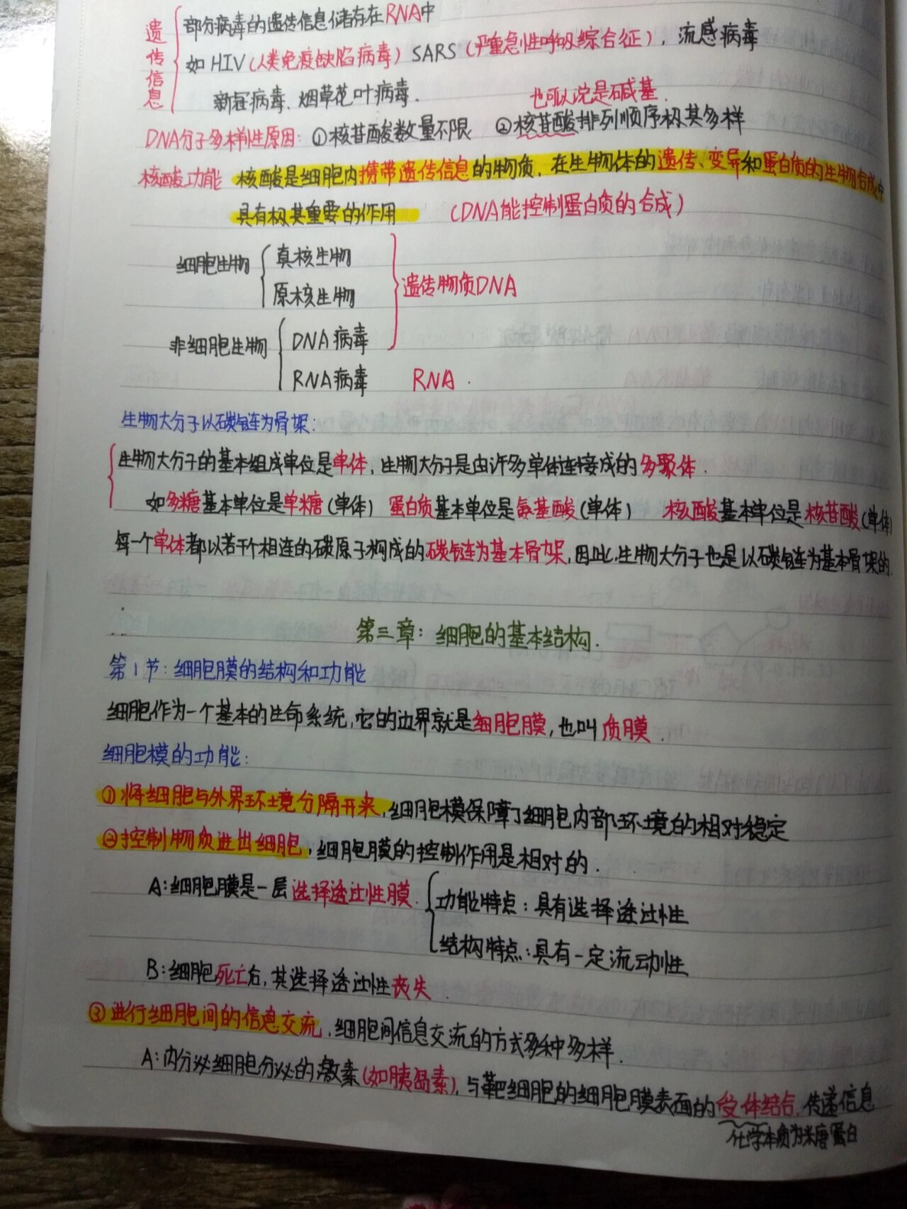 高中生物手写 第1张
高中生物手写 第1张
