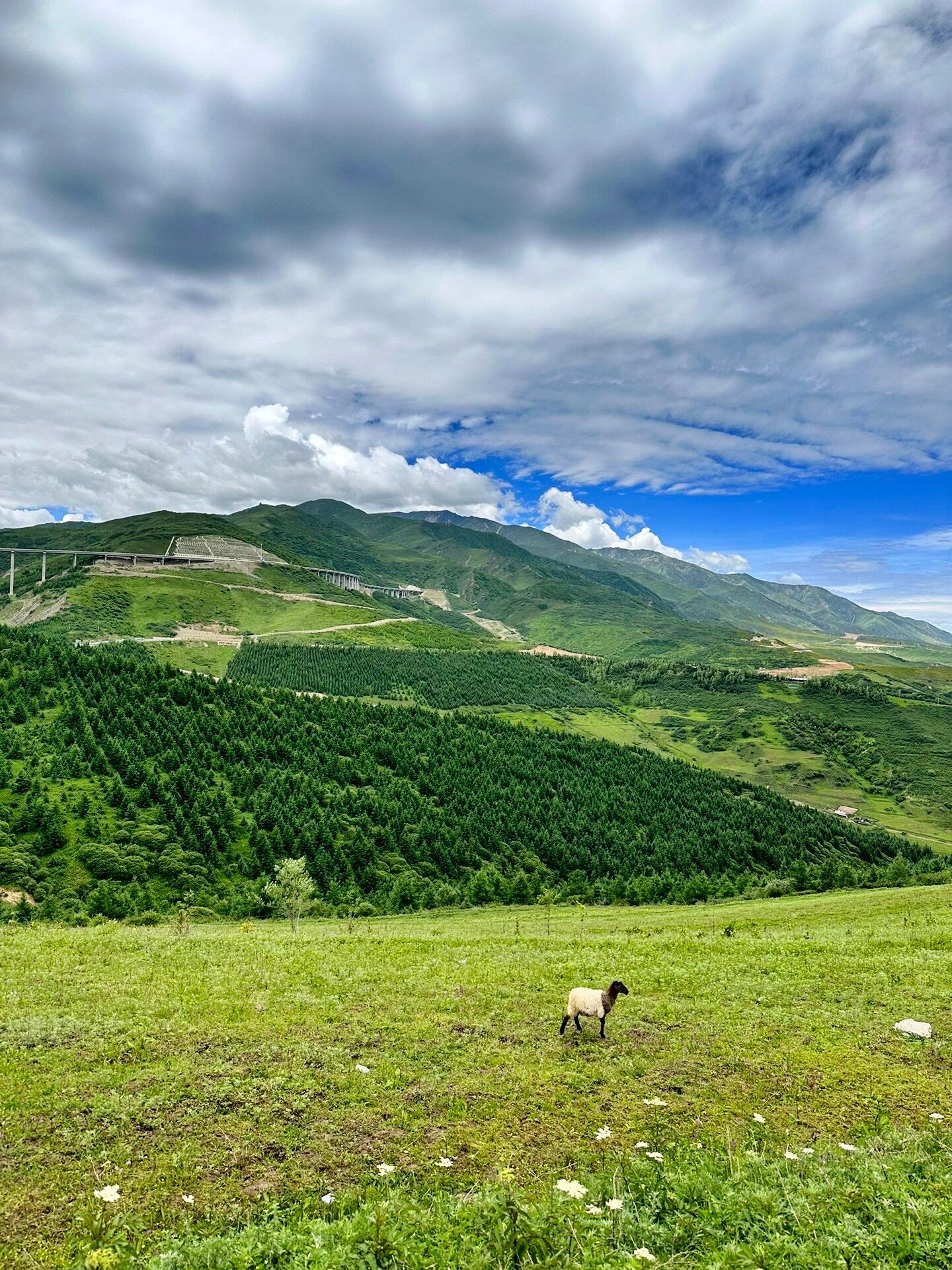 临夏县积石山县风景