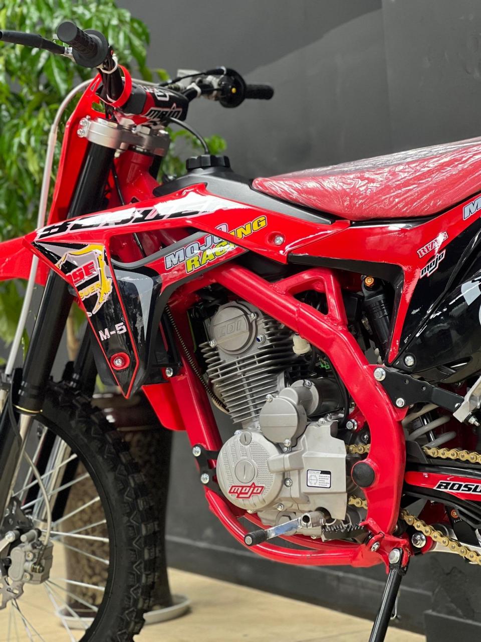 波速尔赛车m5,当今的网红车行.属于小白入门车.