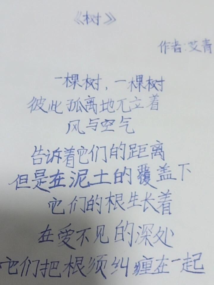 今日的短诗摘抄《树》作者:艾青 一棵树,一棵树 彼此孤离地兀立 风与