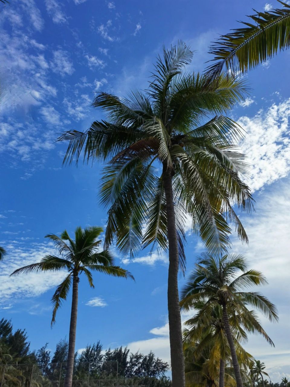 中国西海岸最美日落——湛江天成台度假村 92 与爱的人一起追逐浪漫