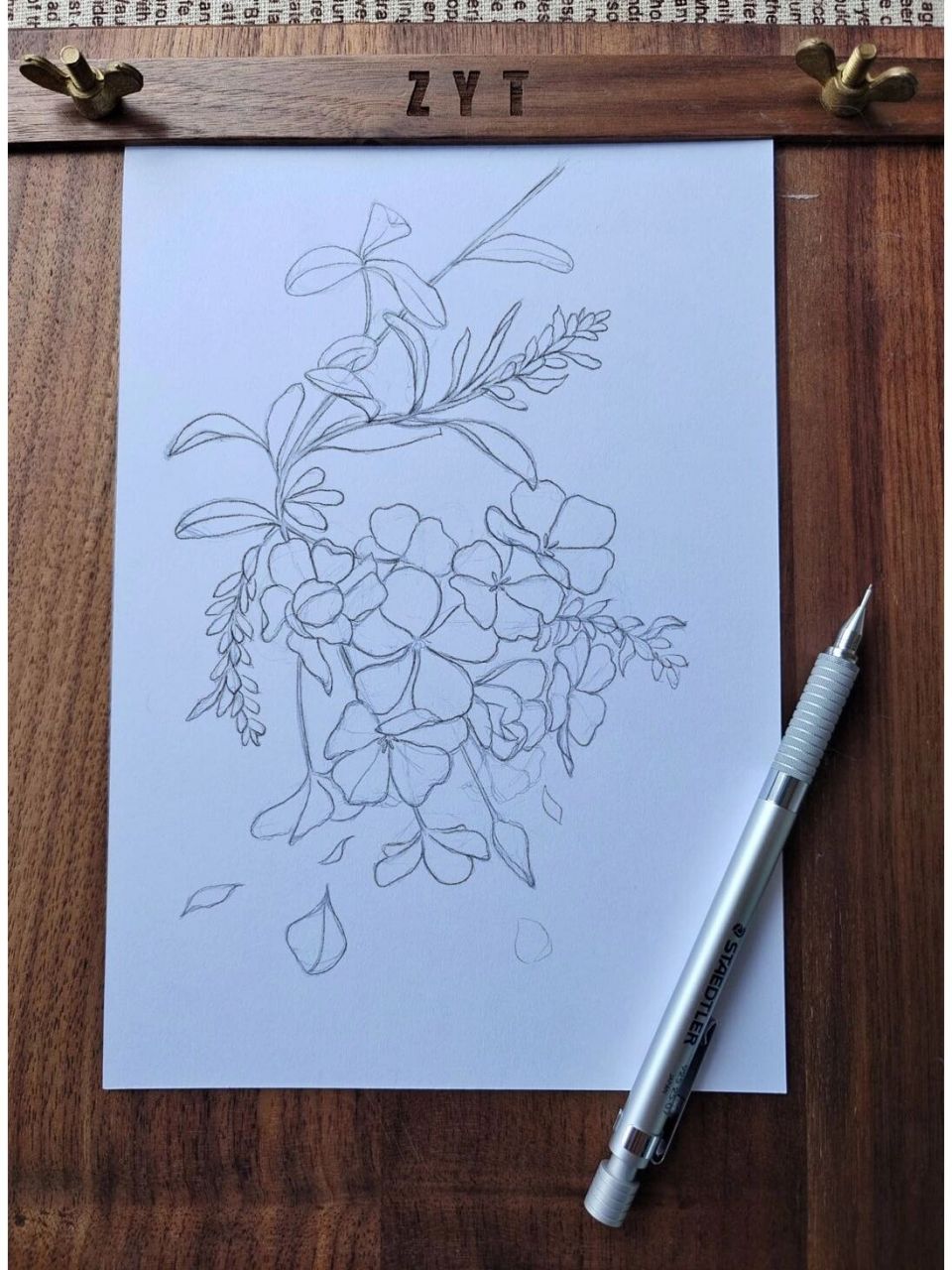 彩铅花卉#蓝雪花#线稿#参考图#色号 色号如下—— 花朵正面:1023淡