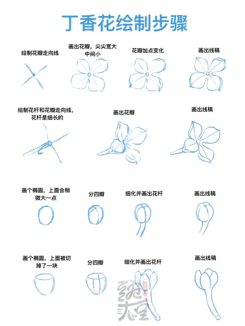 丁香花的简笔画 步骤图片