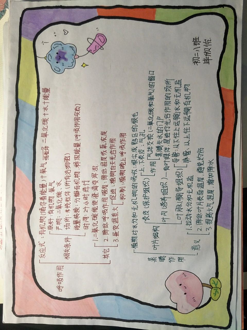 生物思维导图 植物的呼吸作用和蒸腾作用