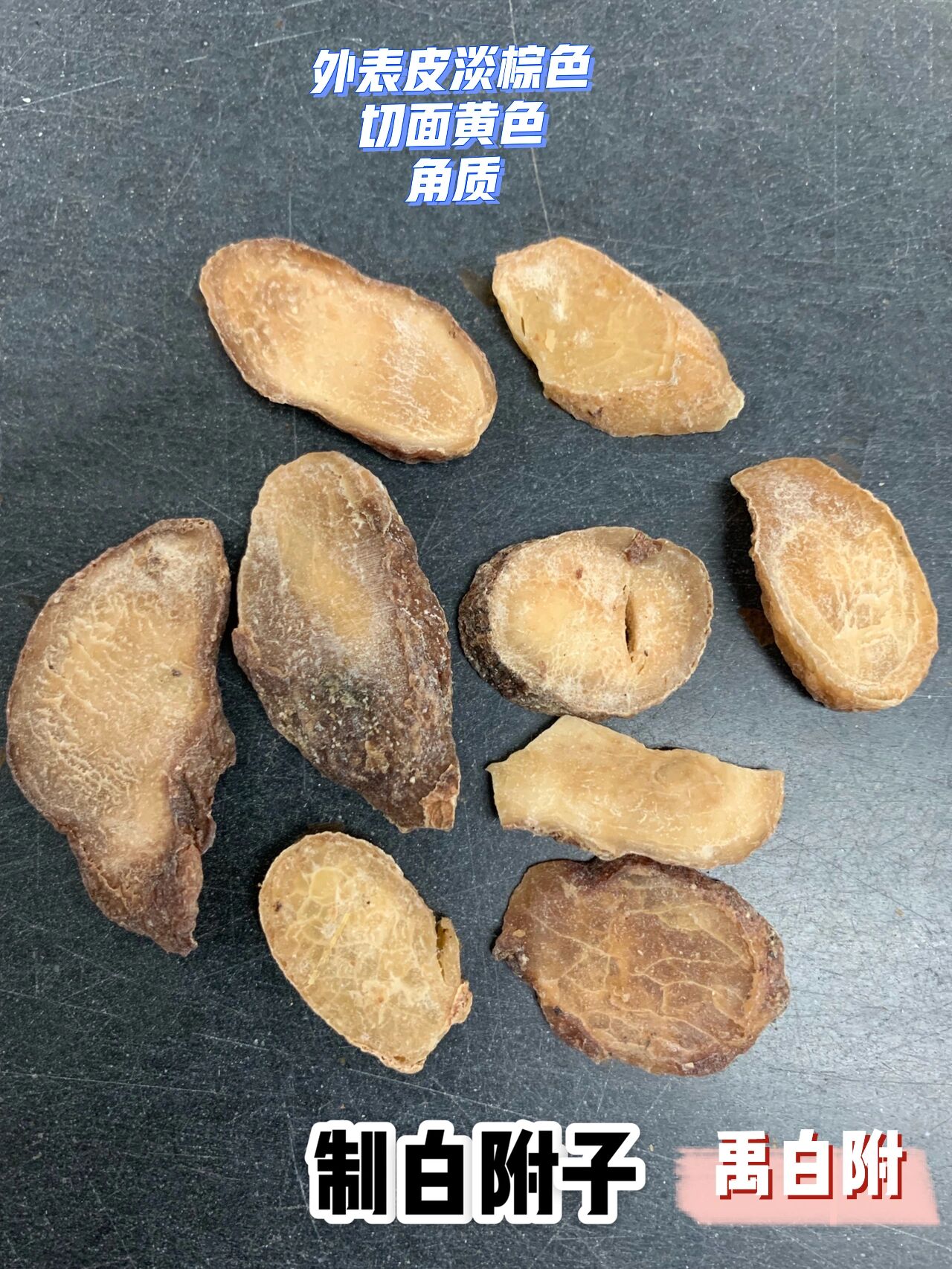 学中药,先认药|禹白附,白芥子,猪牙皂 化痰止咳平喘药➡️温化