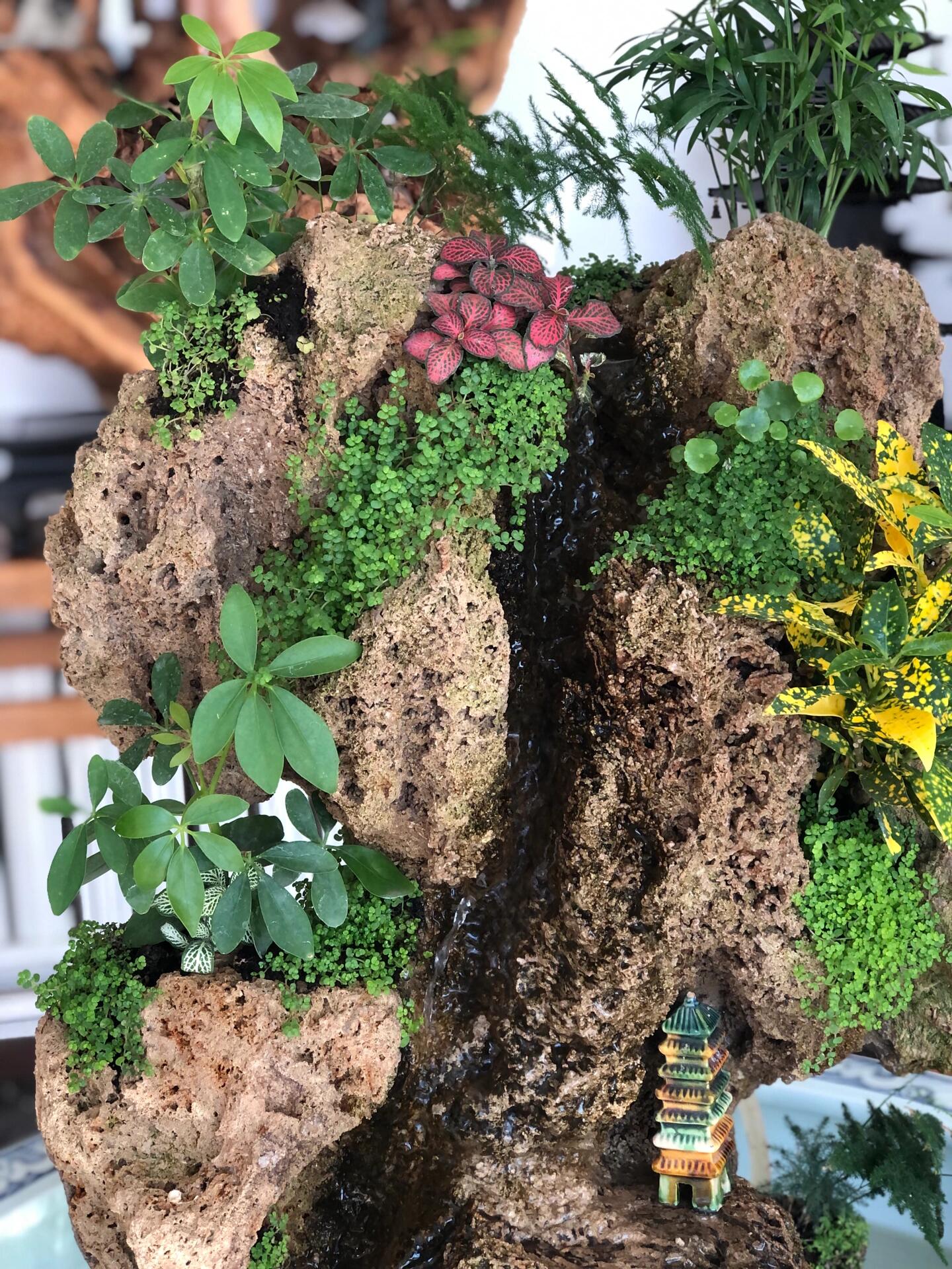 上水石 上水石又被称之为吸水石(天然空气净化器),之所以被这样叫是