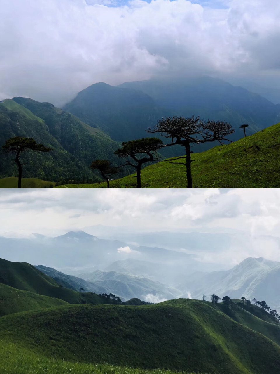 黄牛石牛石是位于江西省龙南县九连山林场的山峰,海拔1430米,九连山北