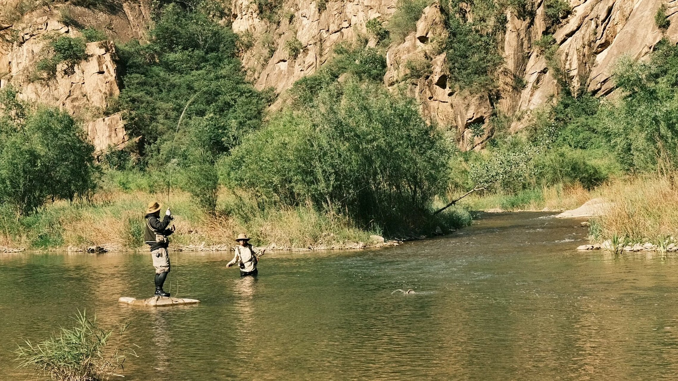 野钓重唇95 跟朋友们白河湾露营野钓,马口很少啊,重唇个体还可以,宽