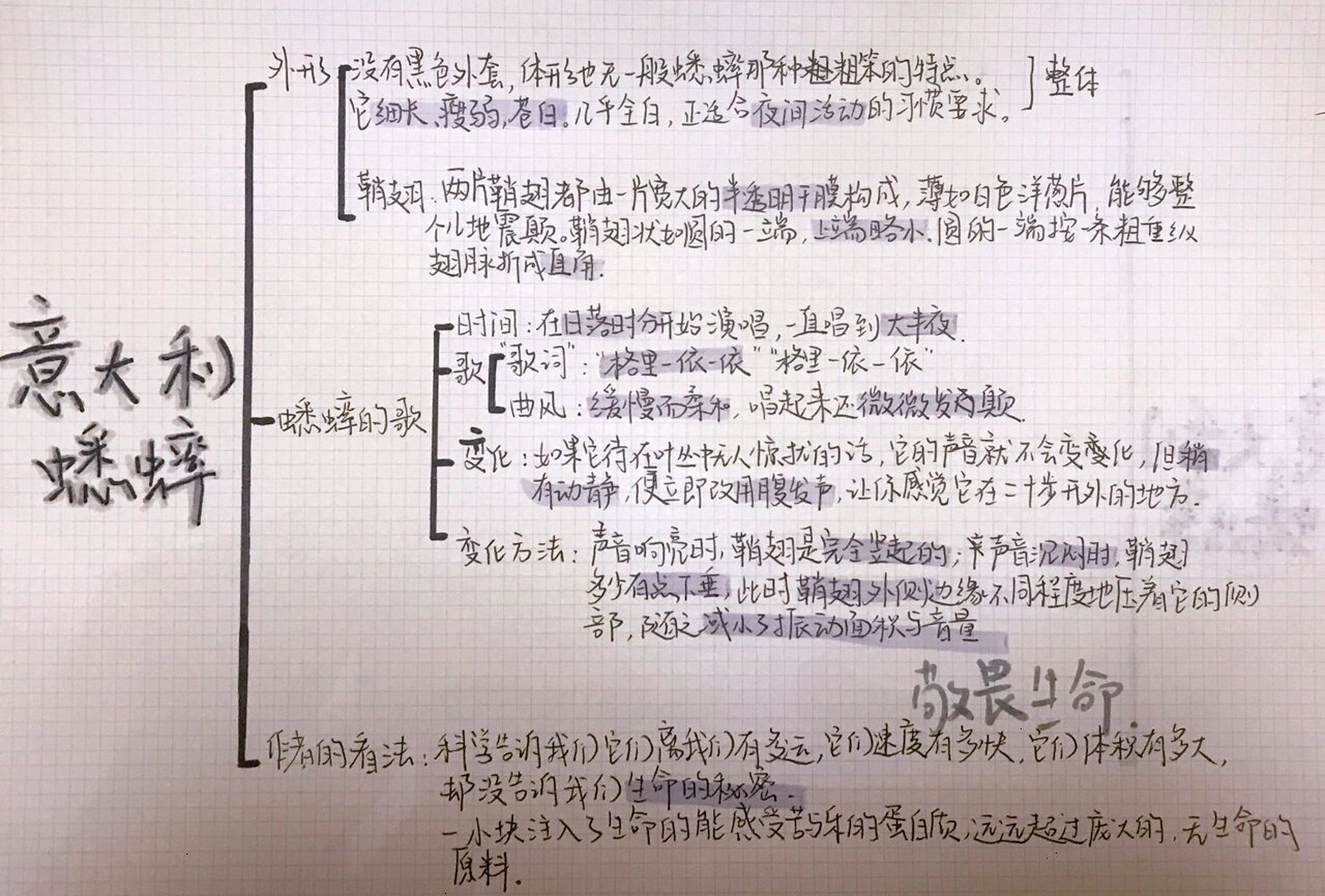 《昆虫记》蟋蟀思维导图 请叫我肝帝