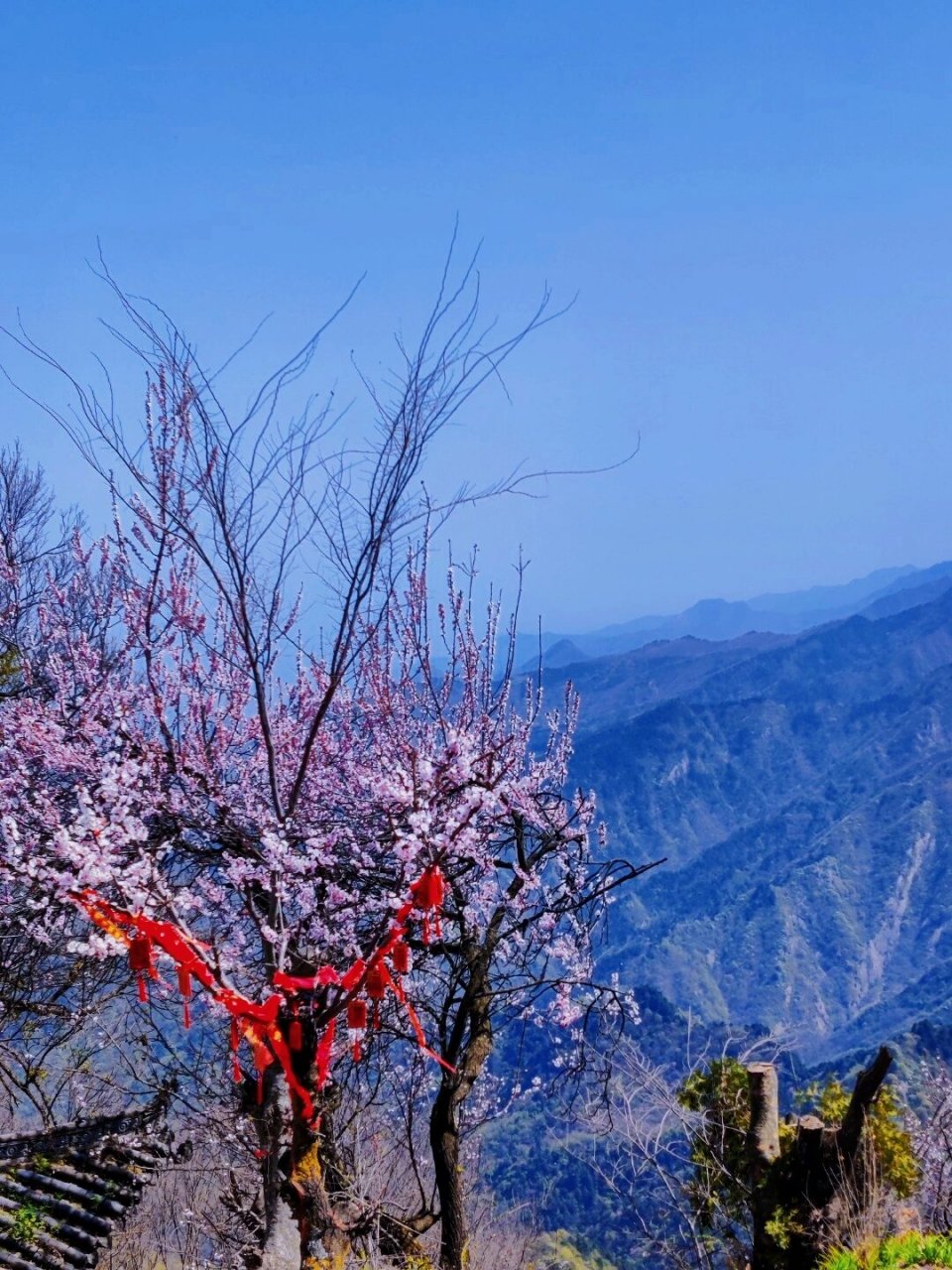 夏日避暑终南山超新超全保姆级攻略6015 99西安市长安区五台街