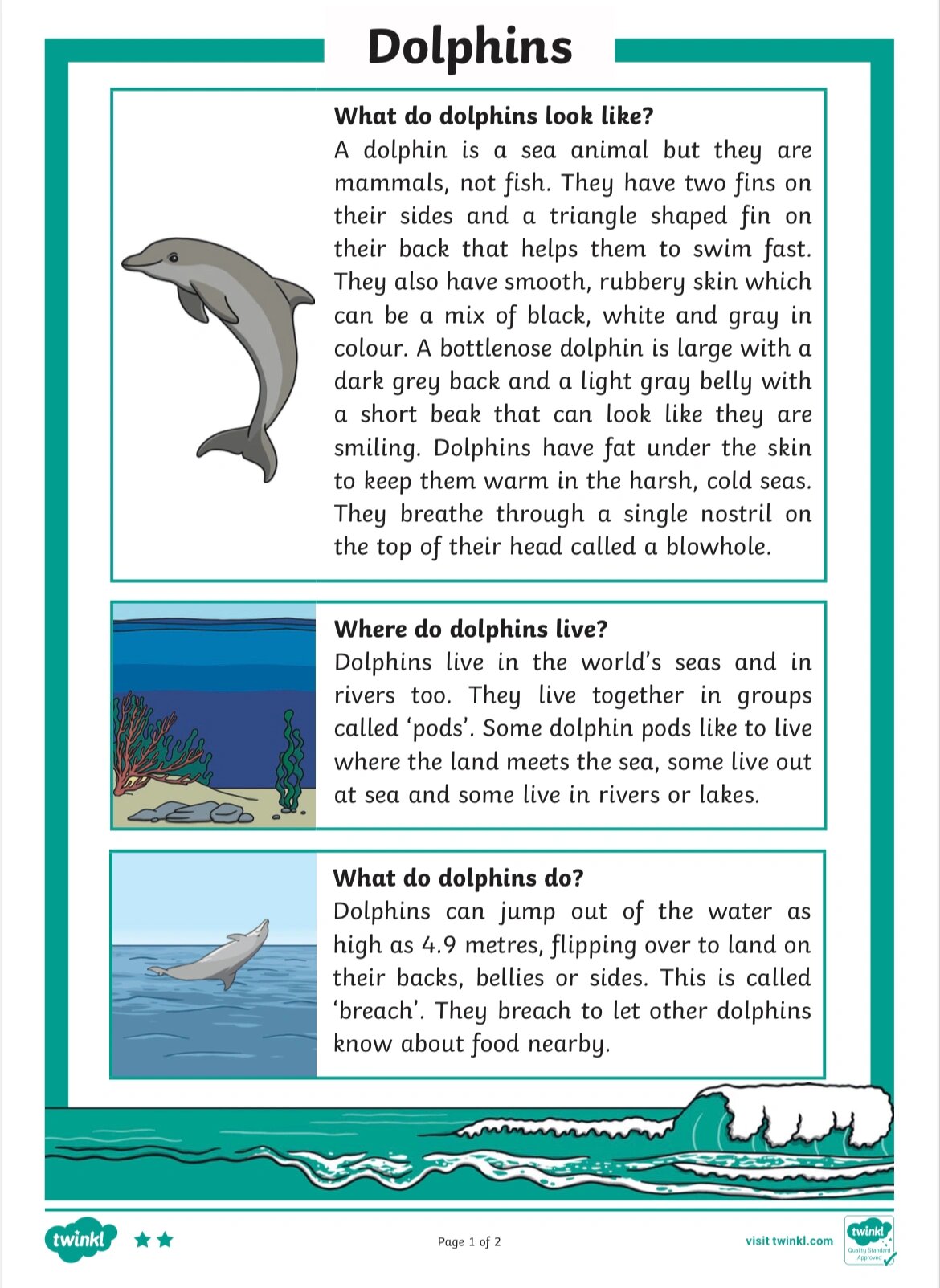 描述海豚的阅读材料相应阅读理解题year8