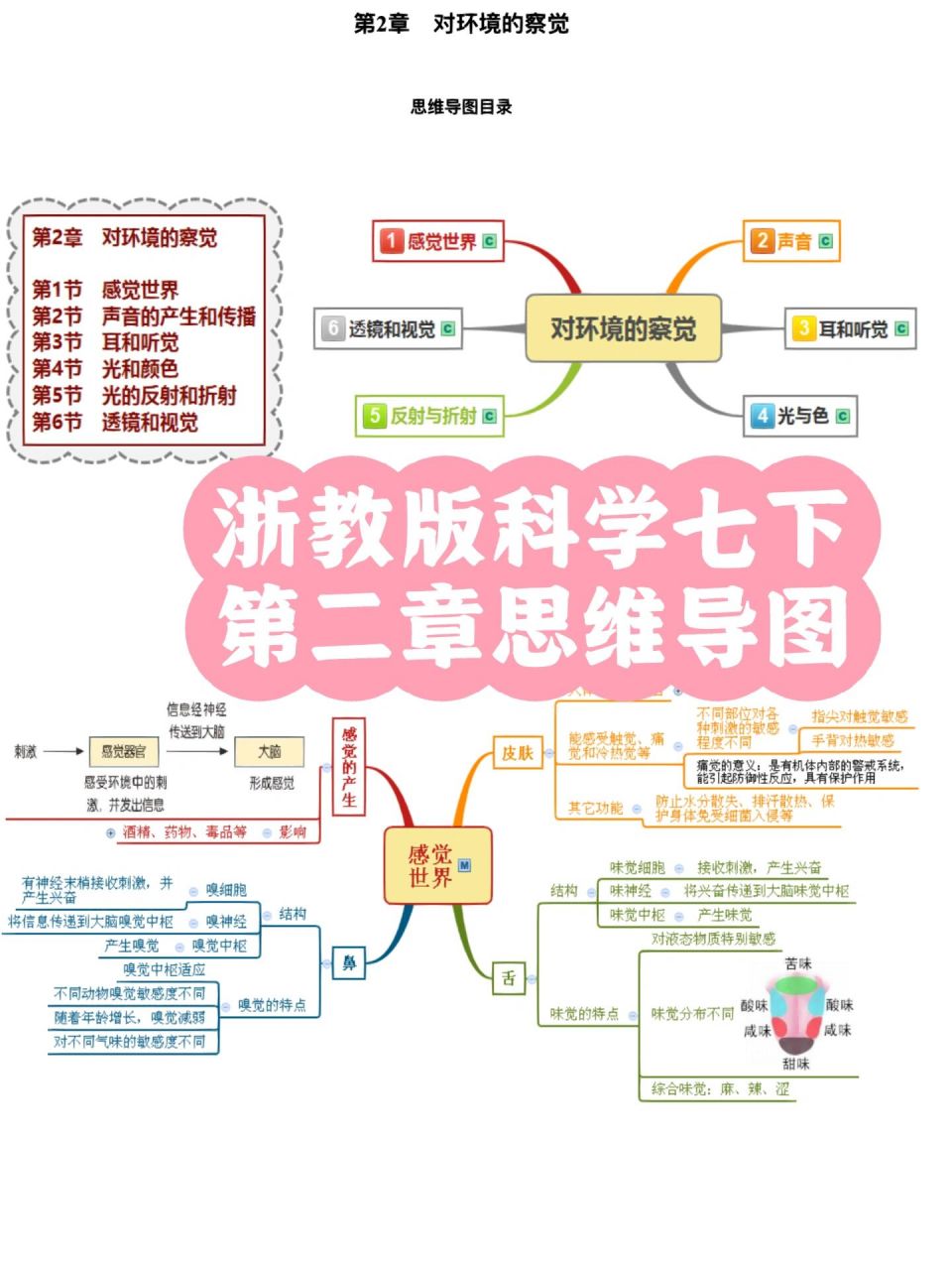 浙教版科学七下第二章思维导图