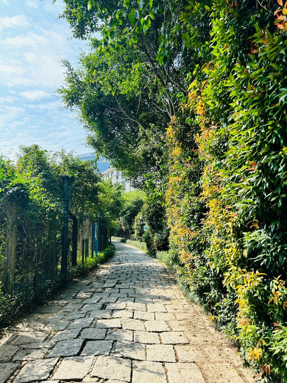 深圳绿道丨周末户外休闲徒步推荐梅林绿道线 94秋天太适合去户外