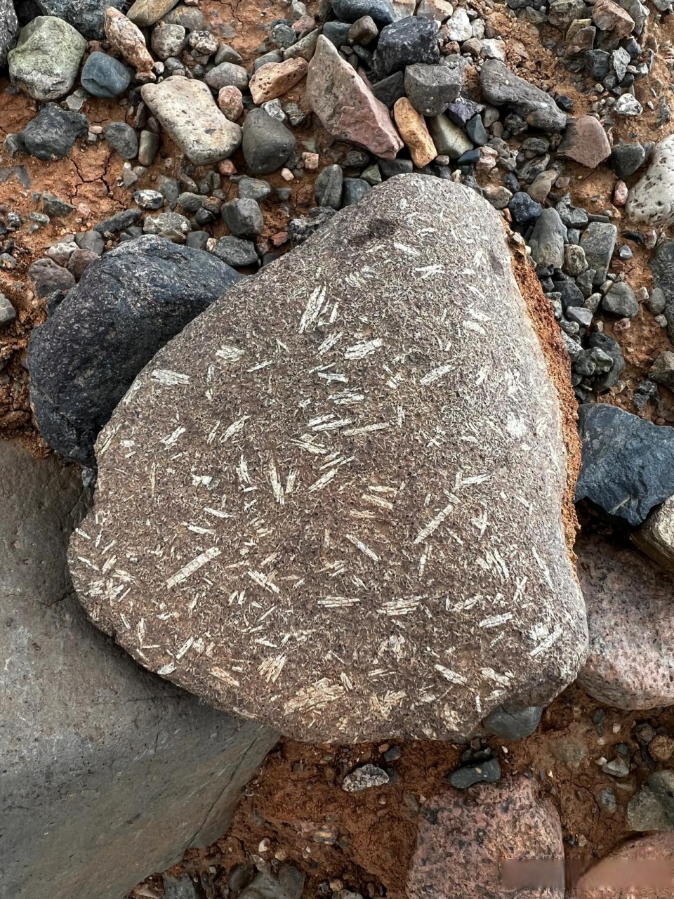 我也捡了块鱼籽石.但觉得也并不好肩,价值在哪里呢!