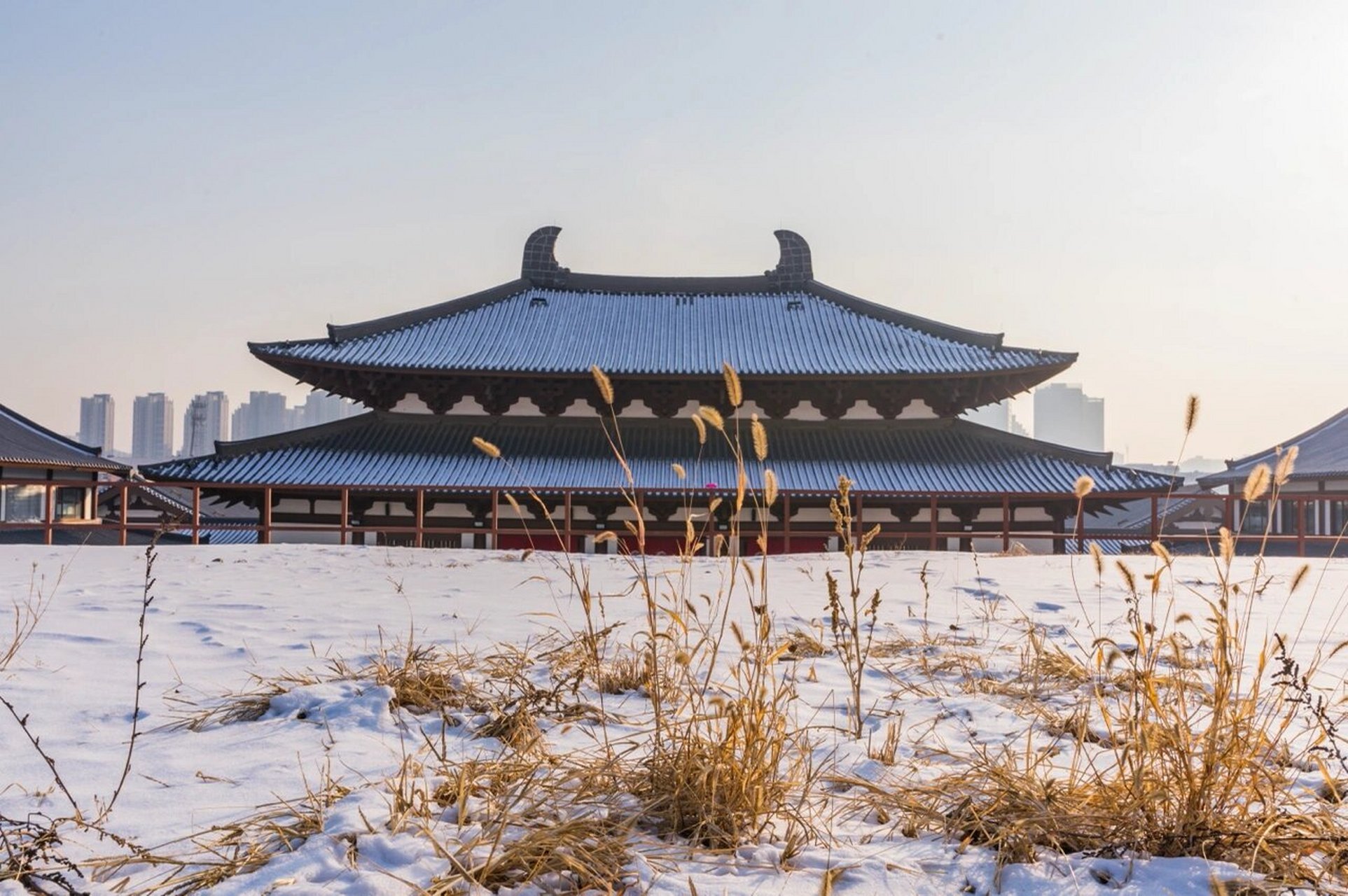 沈阳护国永光寺图片