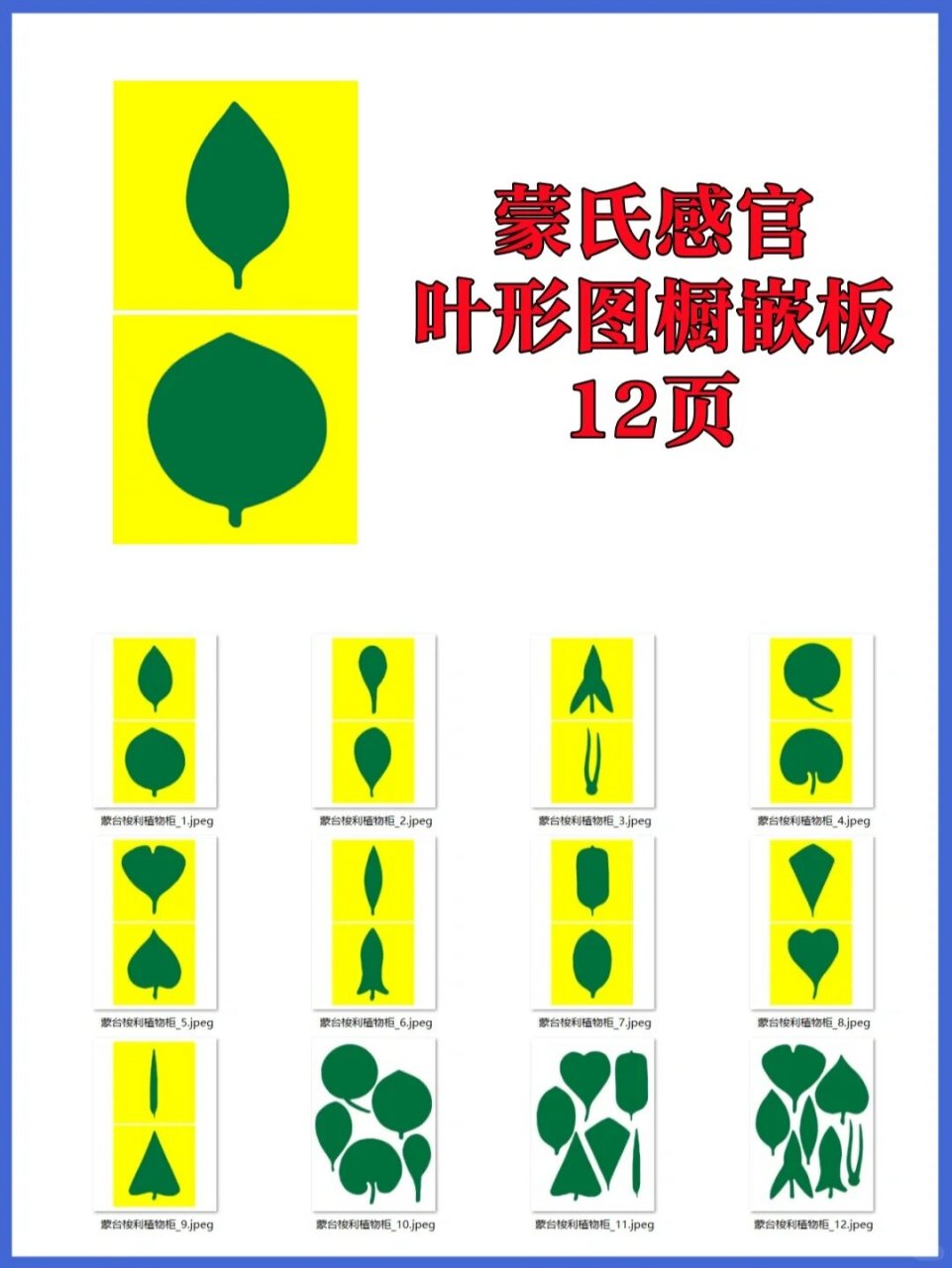 蒙氏素材叶形图橱嵌板蒙氏教具蒙特梭利12页 蒙氏素材叶形图橱嵌板