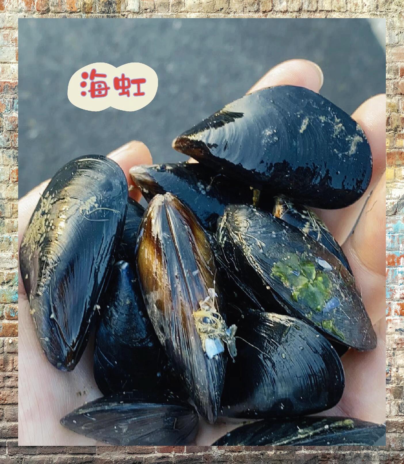 为何我购买的海虹不光滑黑亮