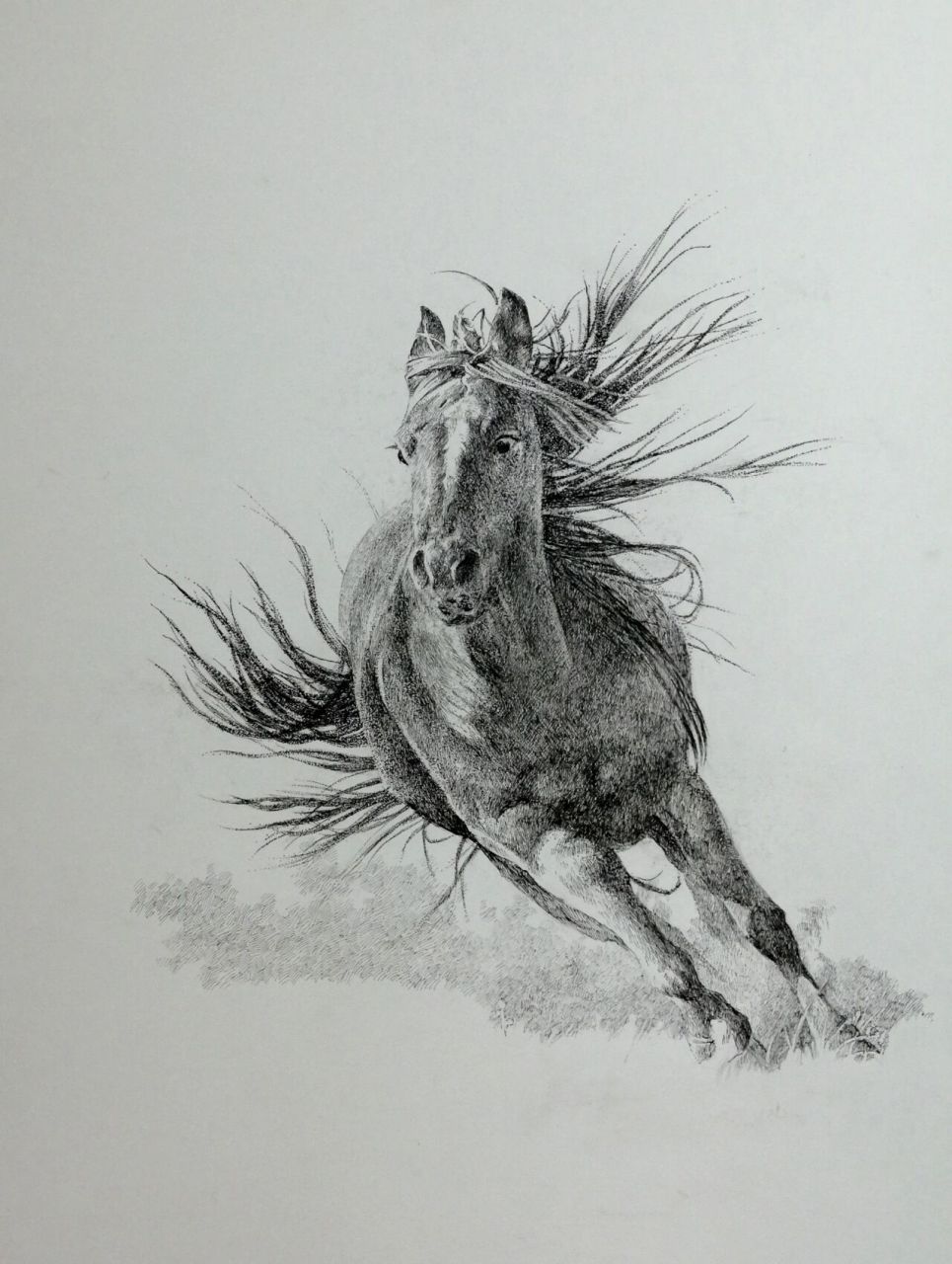 写实钢笔画      奔马 喜欢画马,缘于年轻时曾在内蒙古施工期间,经常