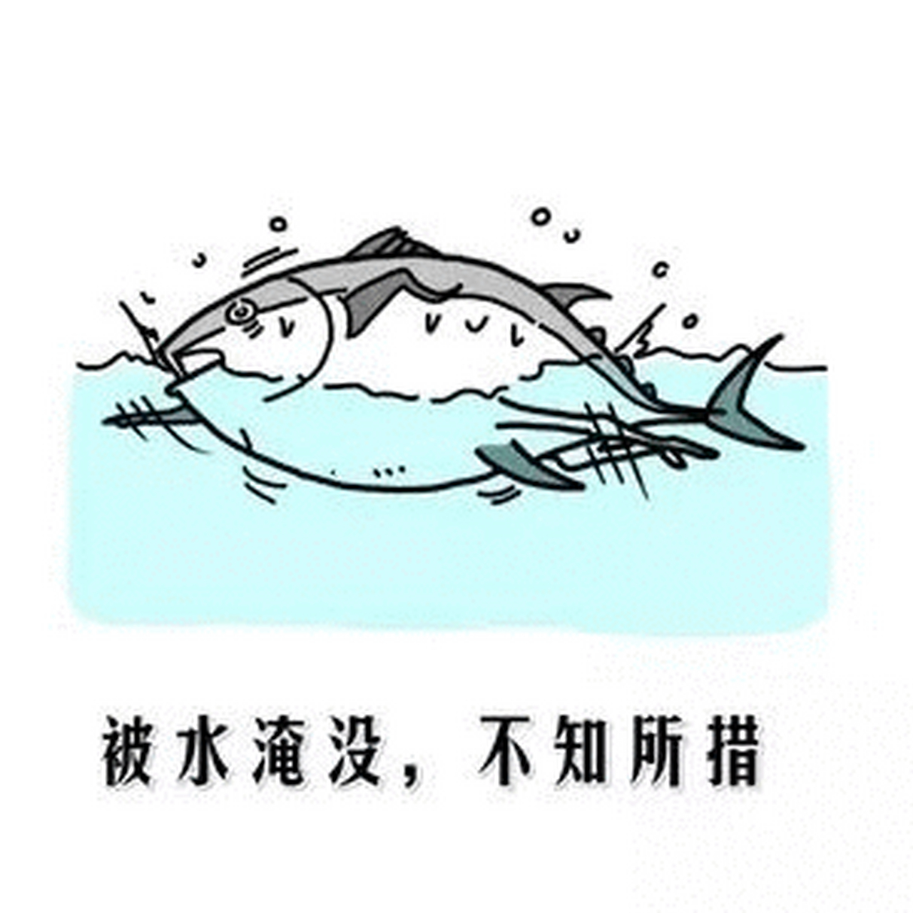 咸鱼变成黄鱼了吗?