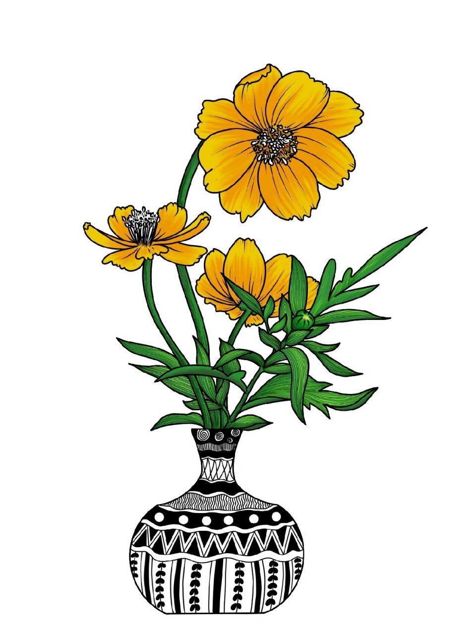 【花卉写生—波斯菊】内附详细步骤图 🌱波斯菊花语 坚强:因为它的