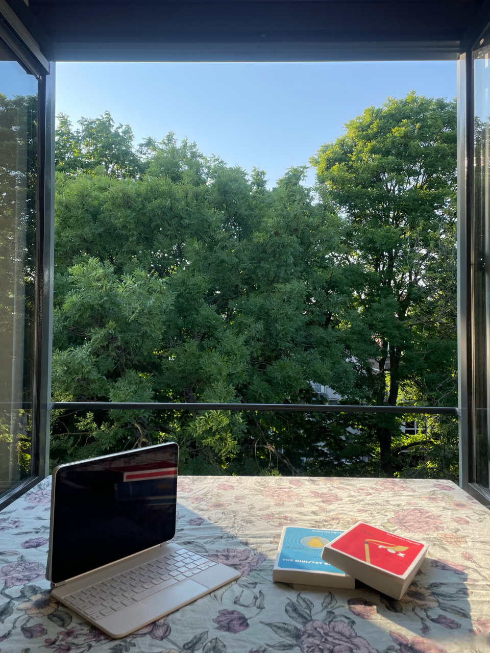 多谢朋友们诨名唤作巴布尔 管鑫sam 和出版社的跨海投喂!