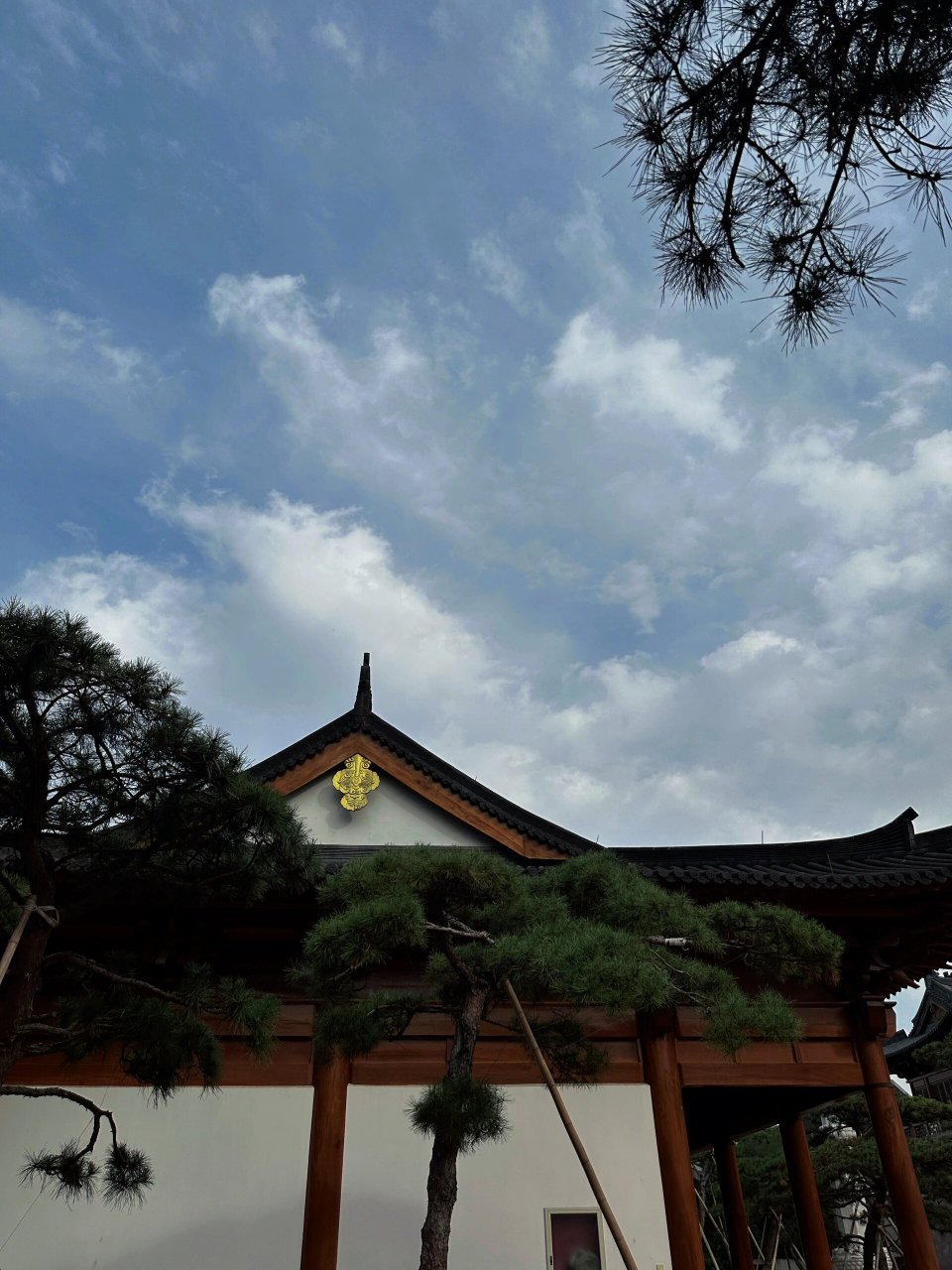 日系风禅寺——宝庆寺 宋代古刹宝庆寺旧貌换新颜 古今风韵与禅意