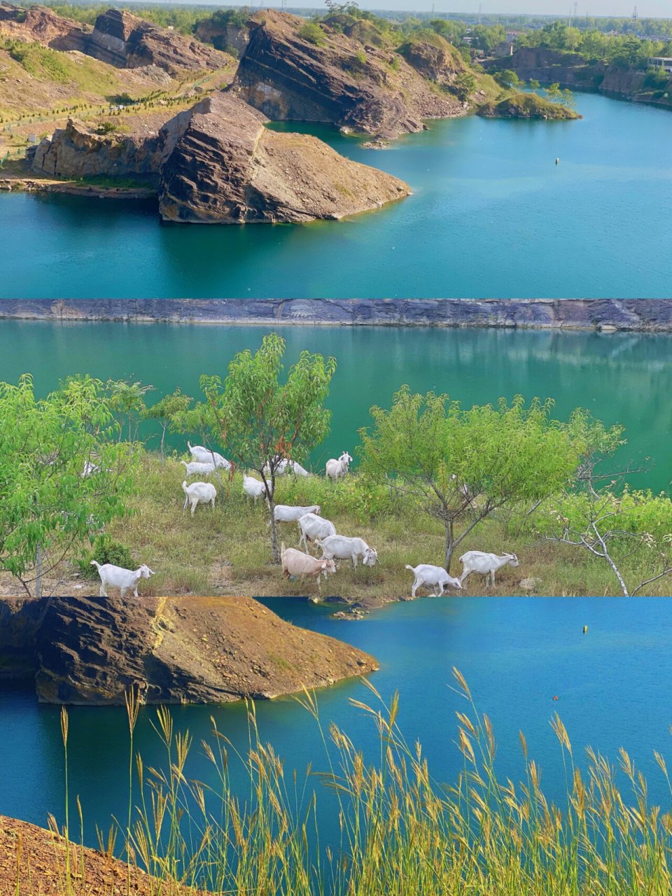 涡阳|龙山 比较幸运天气很好有风还是比较舒服的 还遇见了有人放羊