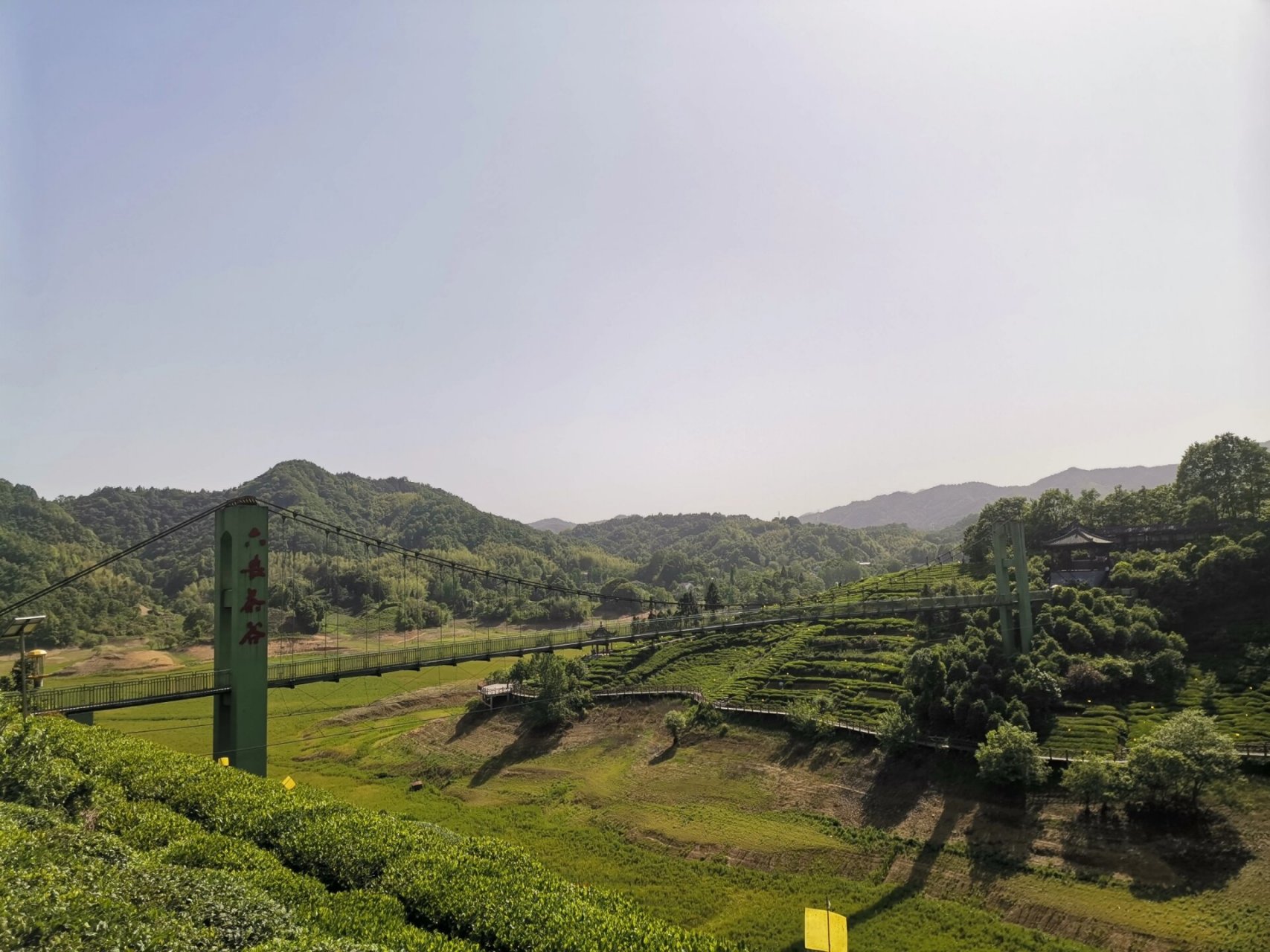 打卡最美茶谷～六安西茶谷 六安西茶谷春色满园 六安西茶谷主题公园