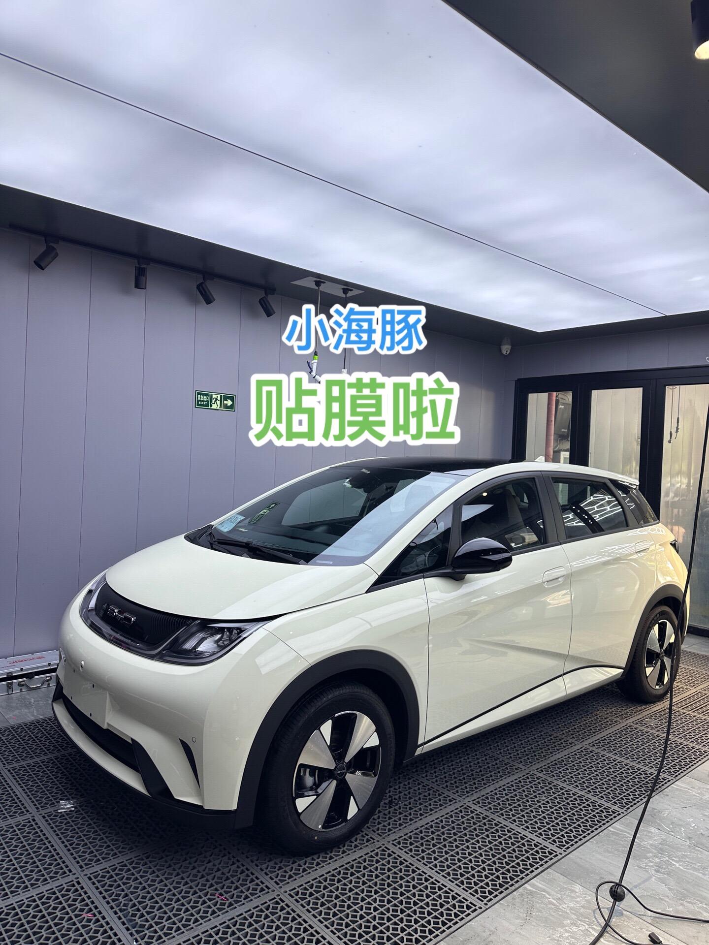 今天给小海豚贴上透明车衣膜啦都说十来万的小车没必要