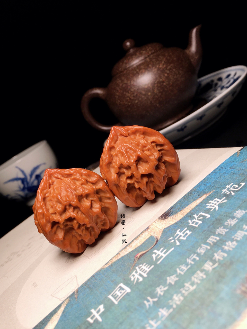 最亲民的三棱核桃·盘山公子帽三棱(老树)