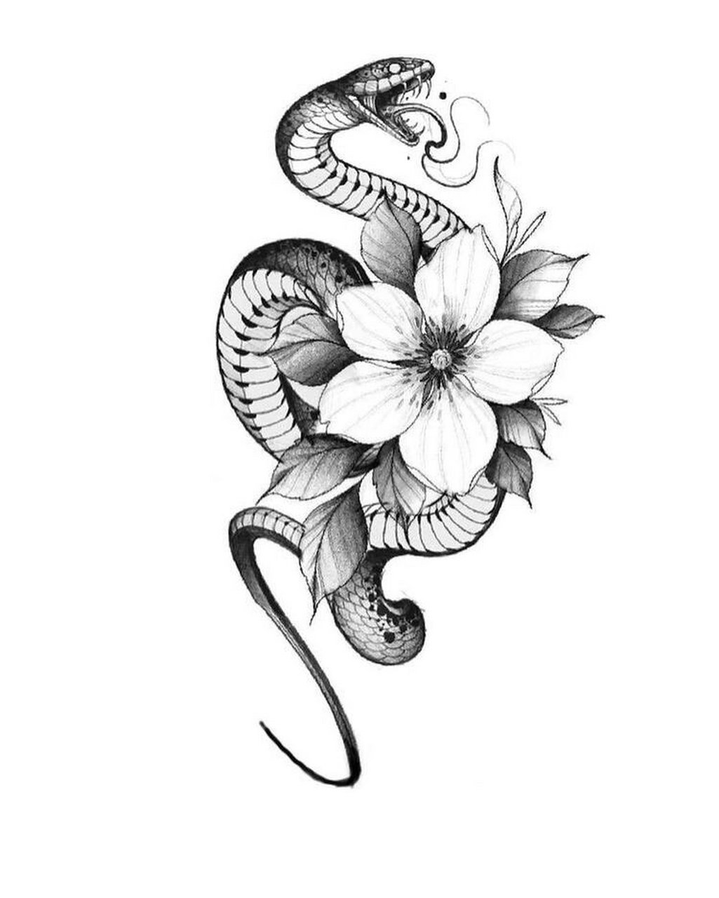 素花,蛇纹身手稿  | 女生纹身图案分享 · 	 女生素花×蛇纹身手稿