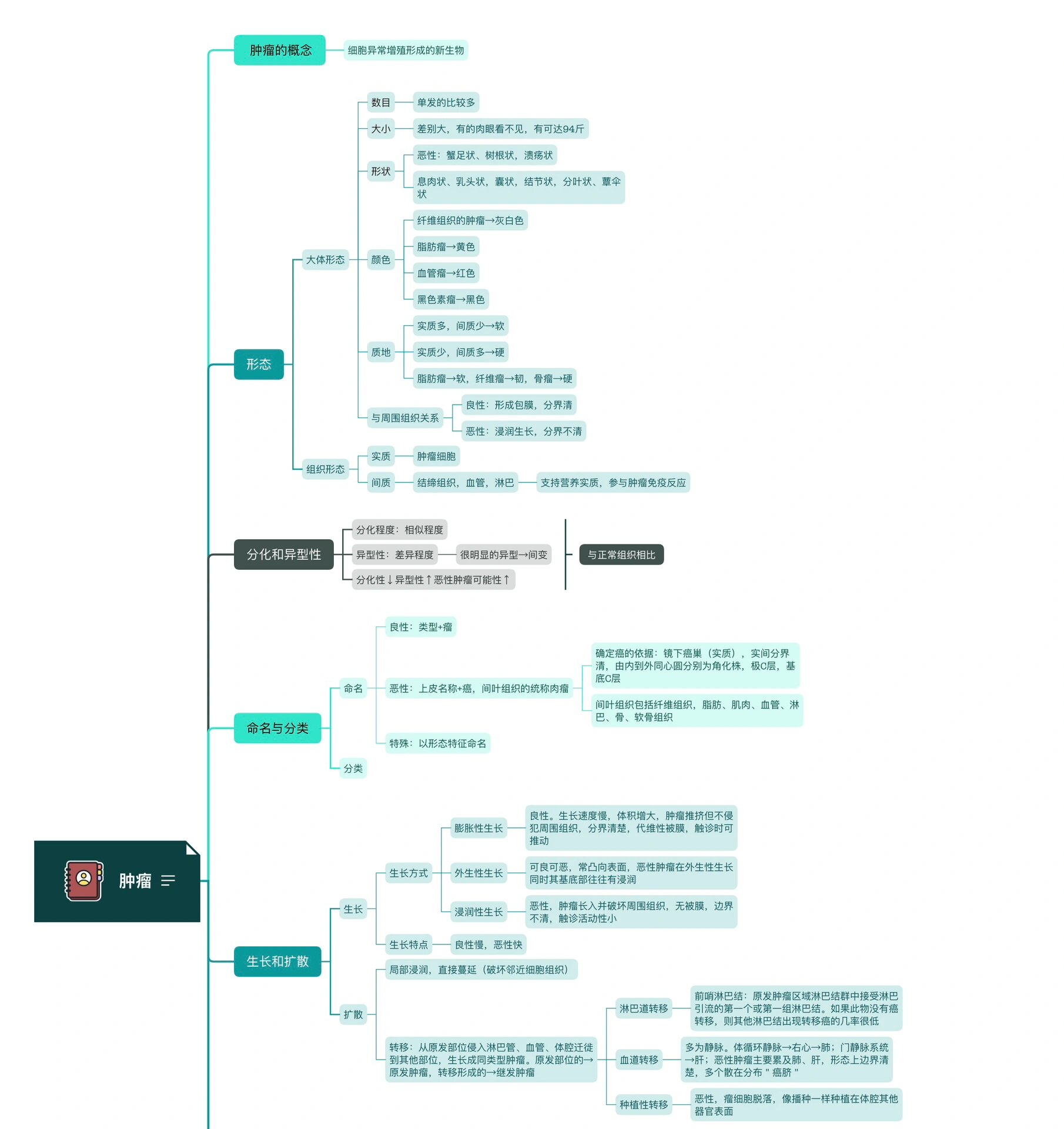 病理肿瘤思维导图高清图片