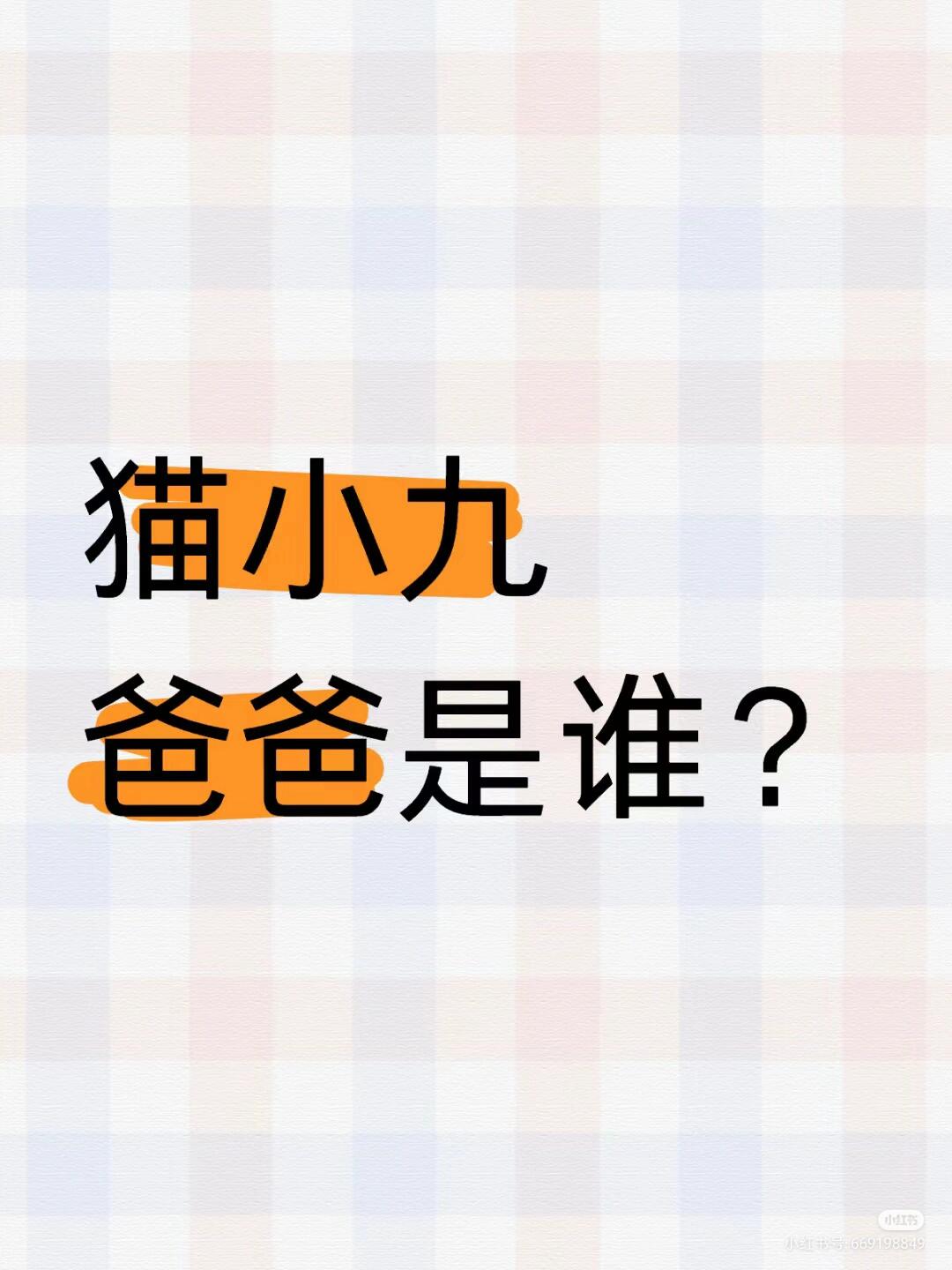 猫小九爸爸是谁啊?
