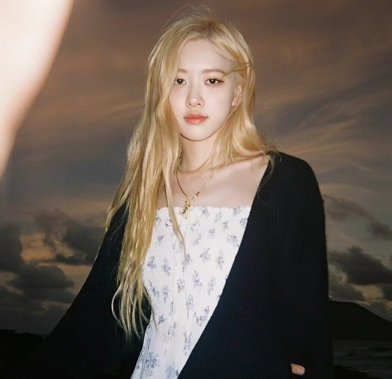 rose朴彩英[鲜花]