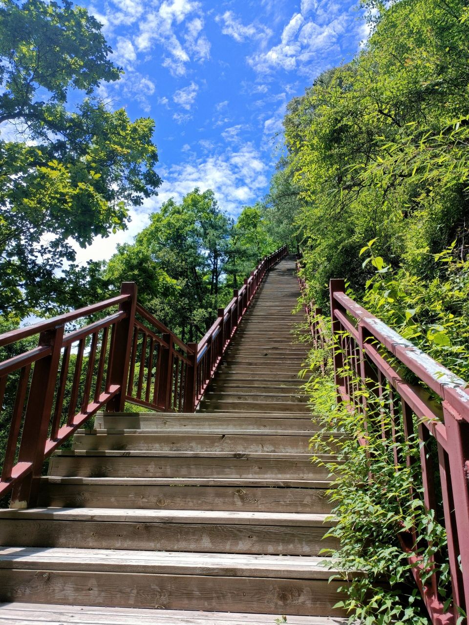 红河谷旅游最全攻略 红河谷森林公园位于陕西宝ji眉县营头镇,是秦岭